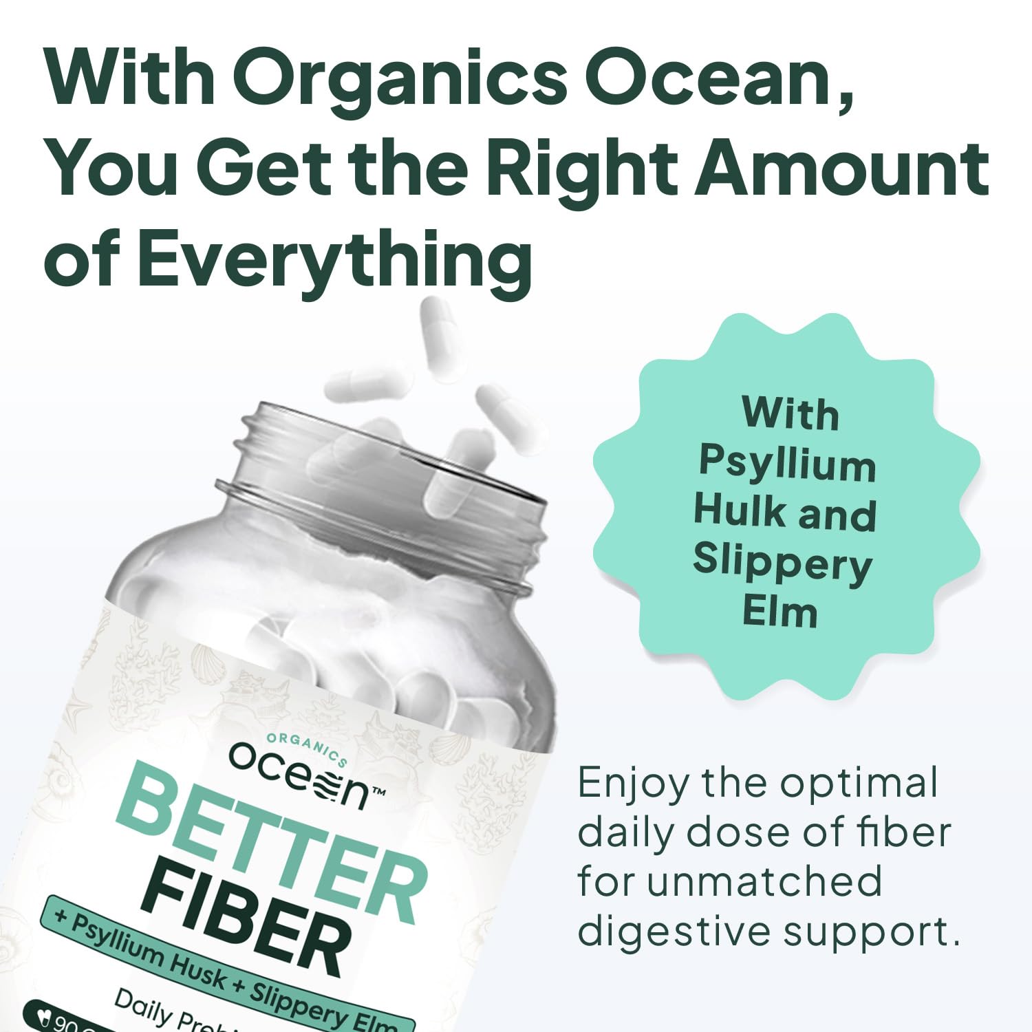 Organics Ocean Better Fiber - Daily Fiber Supplement - Soften Stool for Effortless Bowel Movements - with Psyllium Hulk and Slippery Elm - 90 Capsules Organics Ocean buy supplements canada