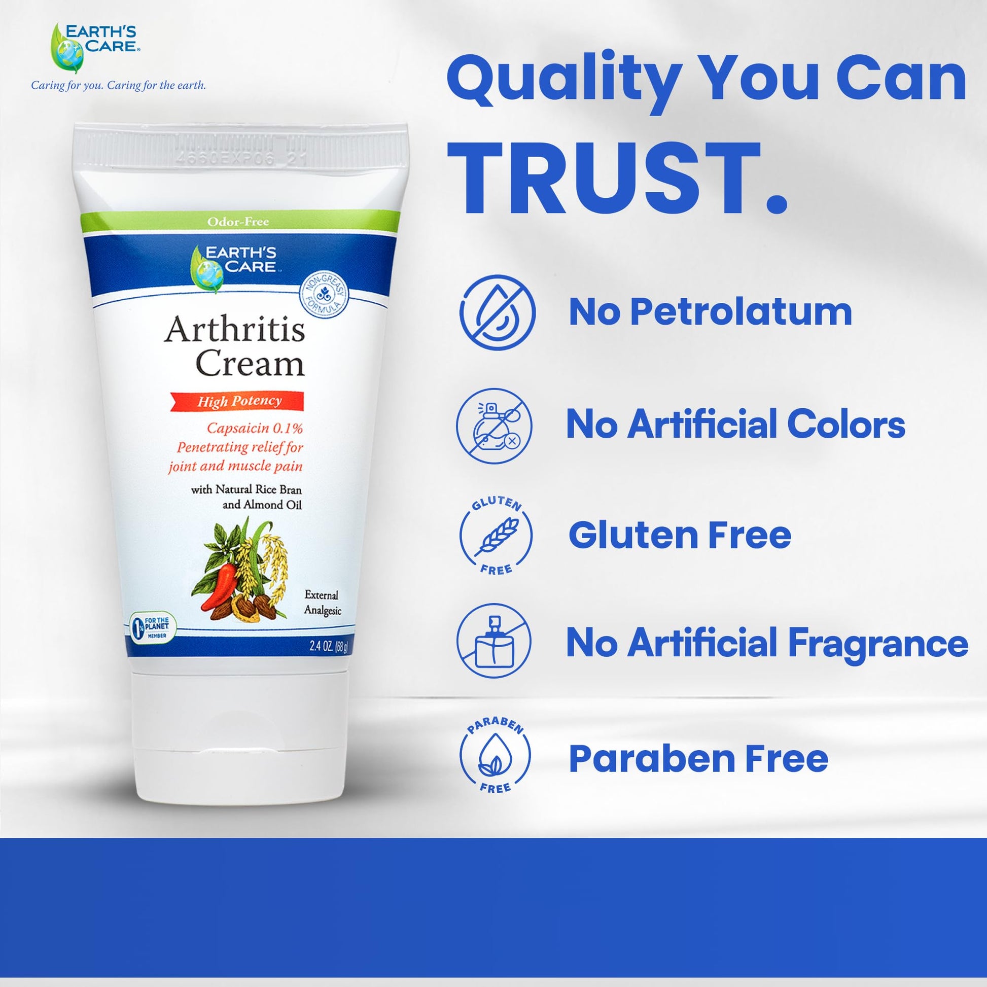 Earth's Care Arthritis Cream - Joint Cream with Natural Capsaicin - Topical Analgesic 2.4 OZ (Pack of 2) Earth's Care buy supplements canada