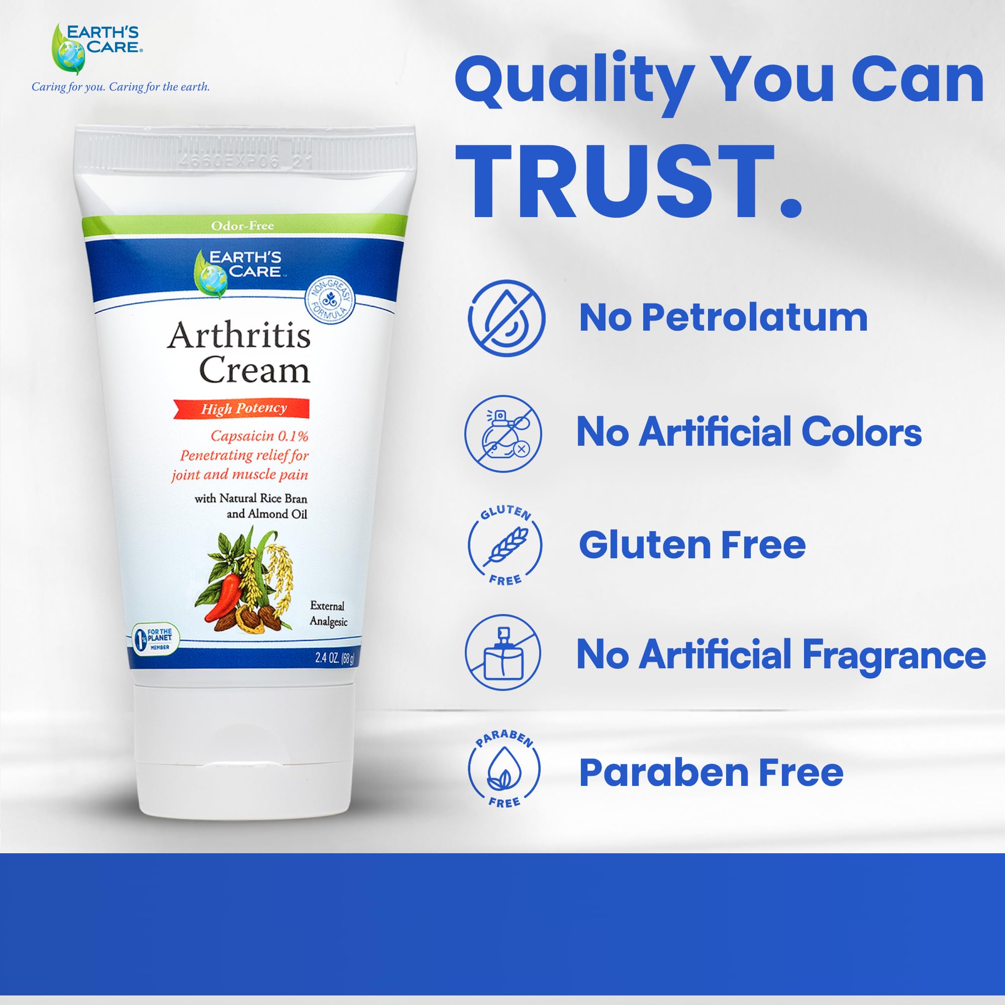 Earth's Care Arthritis Cream - Joint Cream with Natural Capsaicin - Topical Analgesic 2.4 OZ (Pack of 2) Earth's Care buy supplements canada