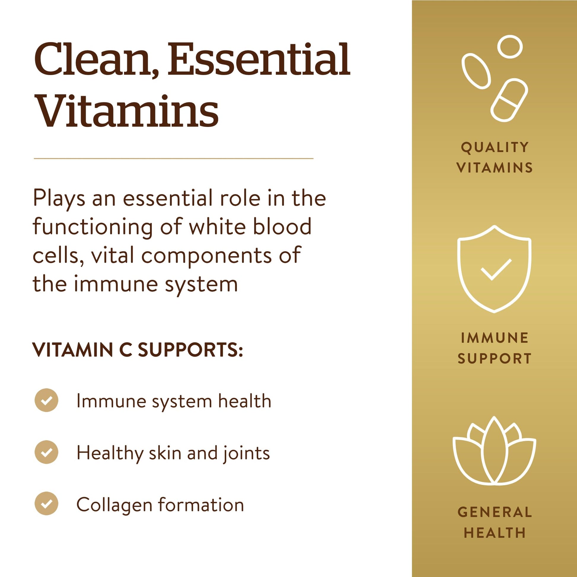Solgar Vitamin C 1000mg - Healthy Immune System - Helps Fight Free Radicals - Vegan SOLGAR buy supplements canada