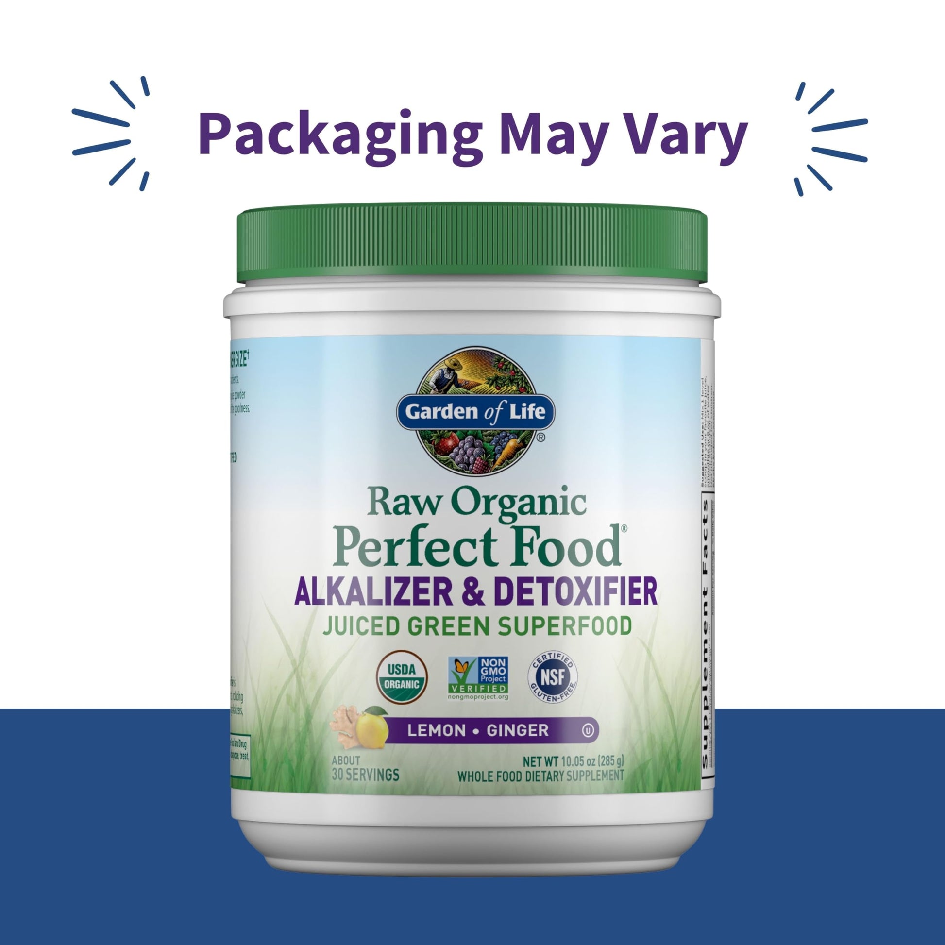 Garden of Life Raw Organic Perfect Food Alkalizer and Detoxifier, Lemon Ginger Flavored Superfood Powder Supplement, 30 Servings Garden of Life buy supplements canada