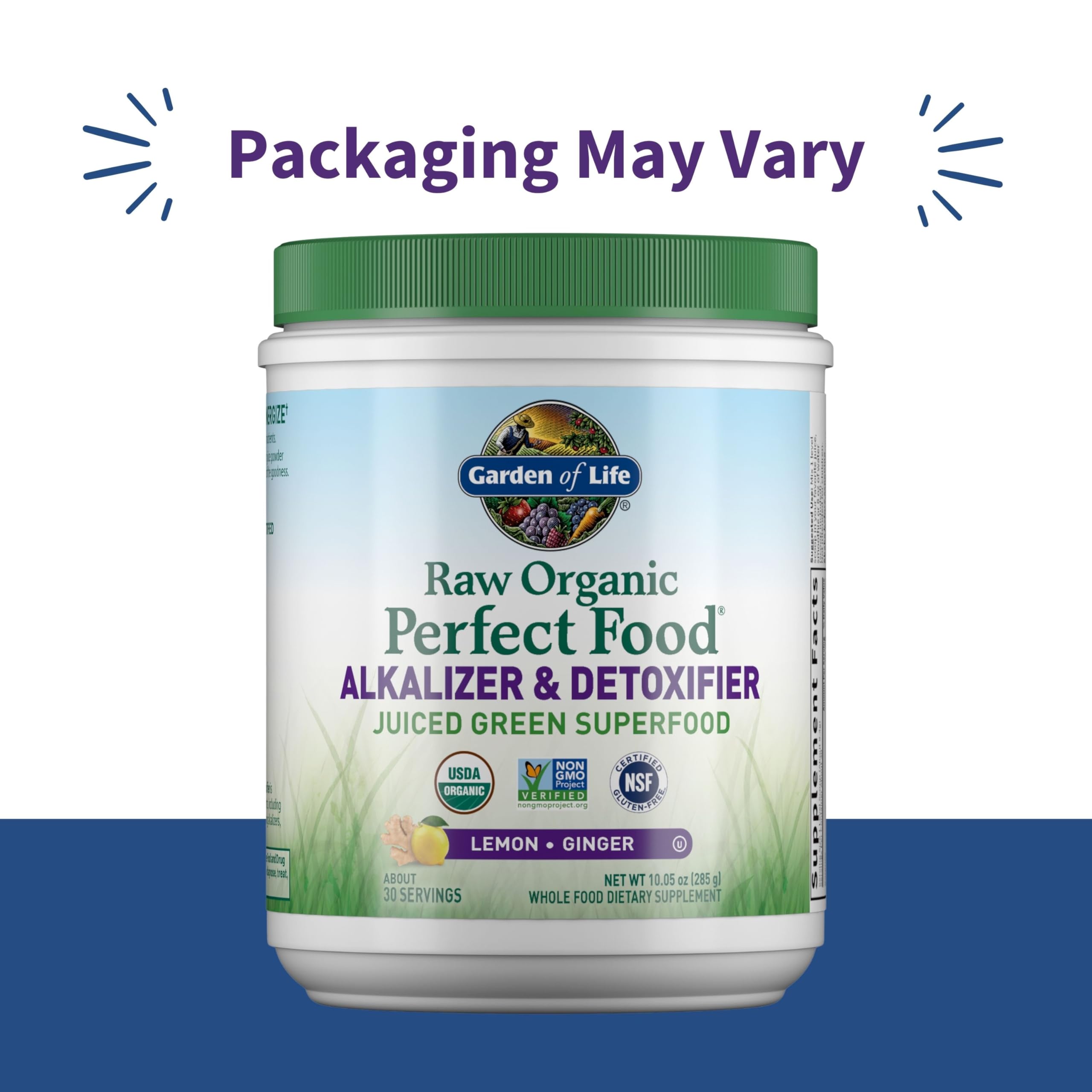 Garden of Life Raw Organic Perfect Food Alkalizer and Detoxifier, Lemon Ginger Flavored Superfood Powder Supplement, 30 Servings Garden of Life buy supplements canada