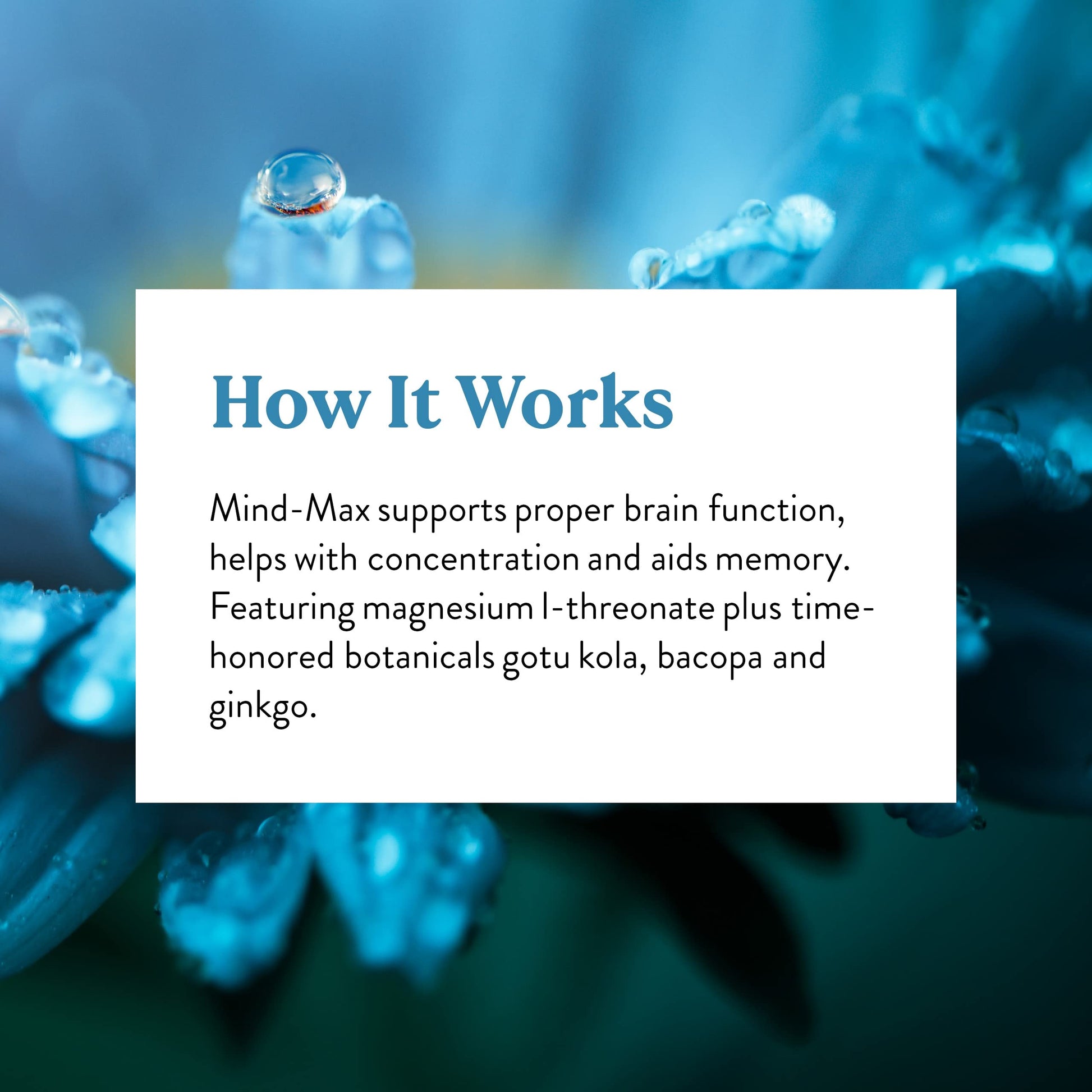 Nature's Sunshine Mind-Max 90 Capsules Nature's Sunshine buy supplements canada