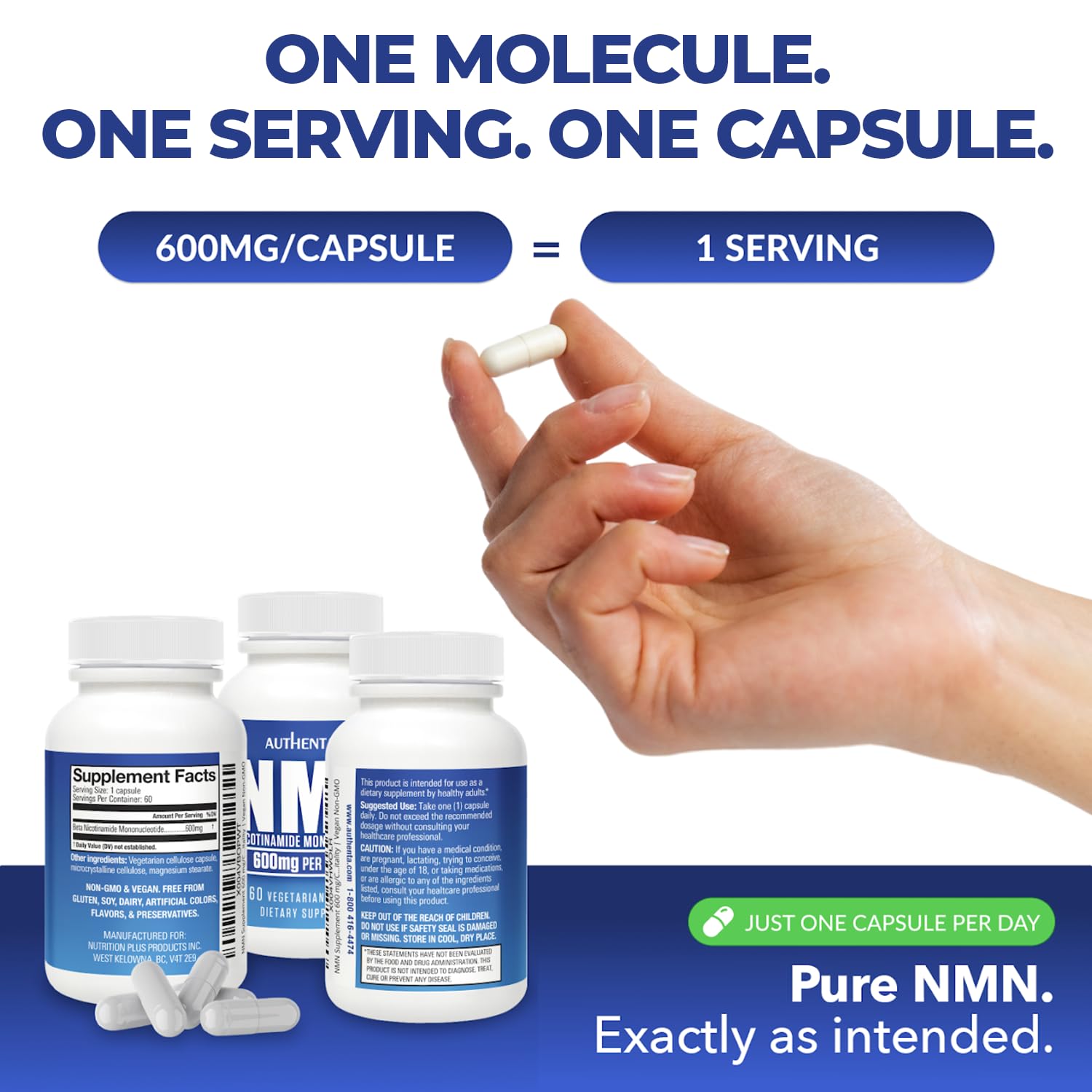 NMN Supplement 600 mg/Capsule Once Daily | 99% Pure Beta Nicotinamide Mononucleotide | Potent NAD⁺ Precursor | Supports Cellular Energy & Metabolism | Vegan, Non-GMO, Third-Party Tested & Gluten-Free AUTHENTA buy supplements canada