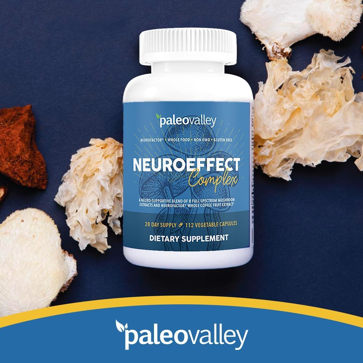 Paleovalley NeuroEffect - Neuro Mushroom Coffee Nutritional Supplement for Focus, Memory, and Energy Support - 28-Day Supply - 8 Full Spectrum Mushroom and Whole Coffee Fruit Extracts Paleovalley buy supplements canada