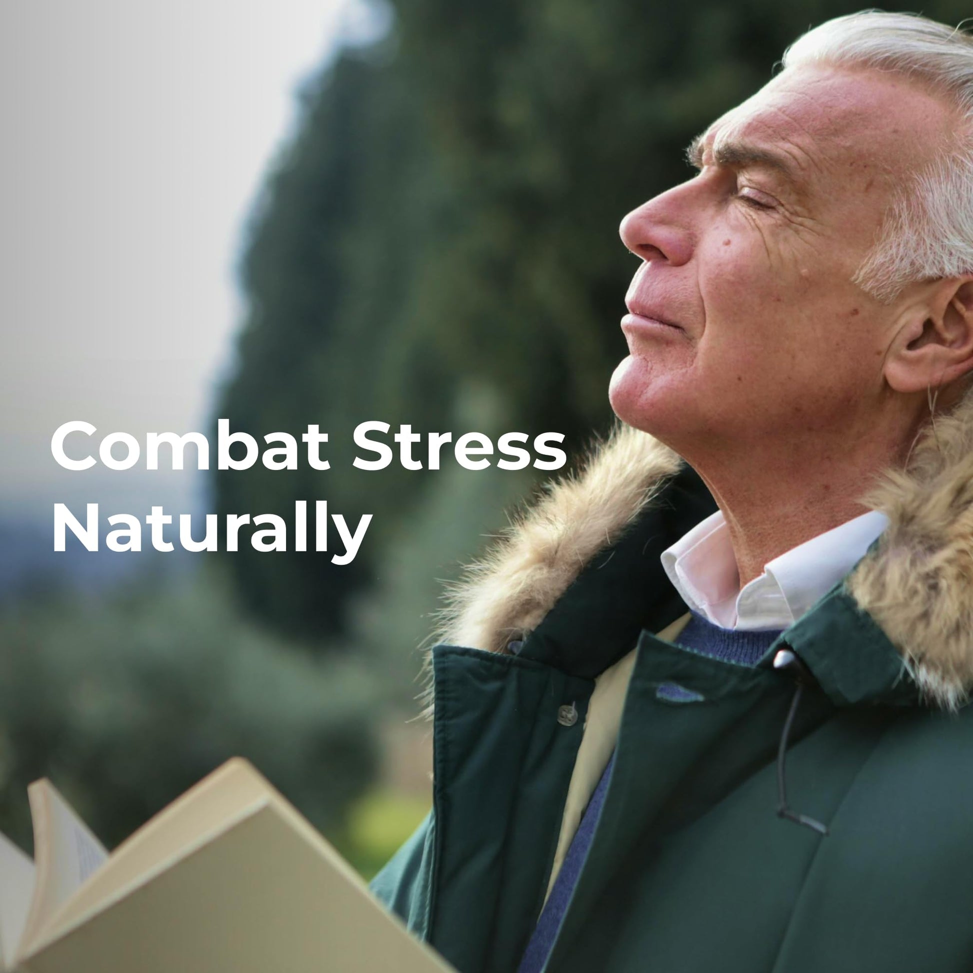 Youngevity Ultimate D-Stress™ – Natural Stress Relief Supplement with Magnesium, Valerian Root Extract, and B Vitamins – Supports Adrenal Health and Nervous System – 120 Capsules Youngevity buy supplements canada