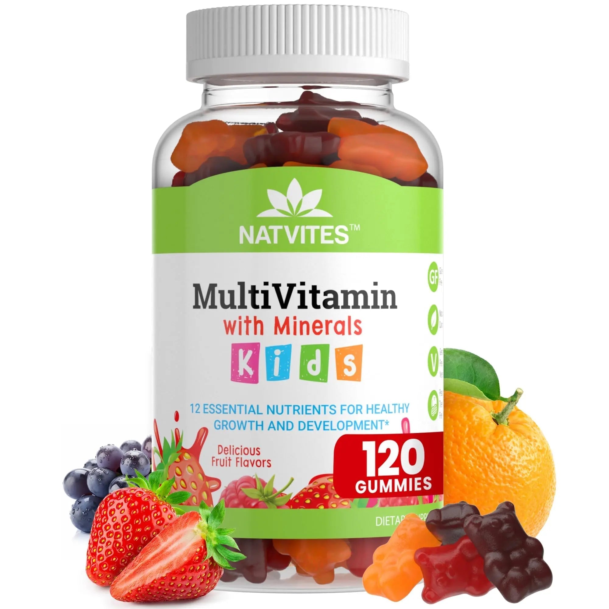 Natvites Complete Kids Multivitamin Gummies – 120 Count of Essential Daily Vitamins & Minerals for Immune Support, Focus, & Growth Natvites buy supplements canada