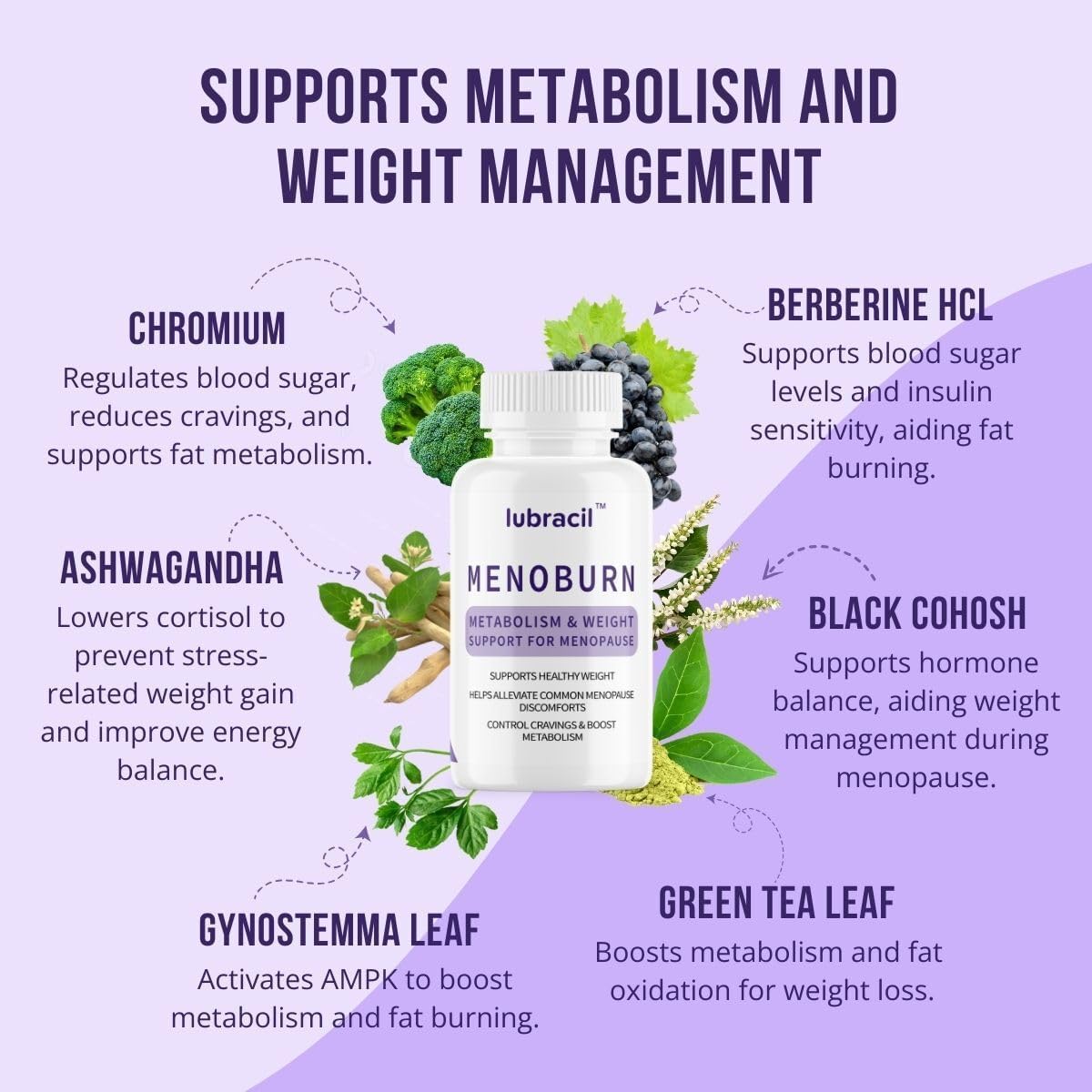 Lubracil Menoburn Perimenopause & Menopause Supplements for Women – Helps Metabolism, Estrogen & Wellness – Targets Hot Flashes, Bloating & Energy – 120 Count, 2 Pack Lubracil buy supplements canada