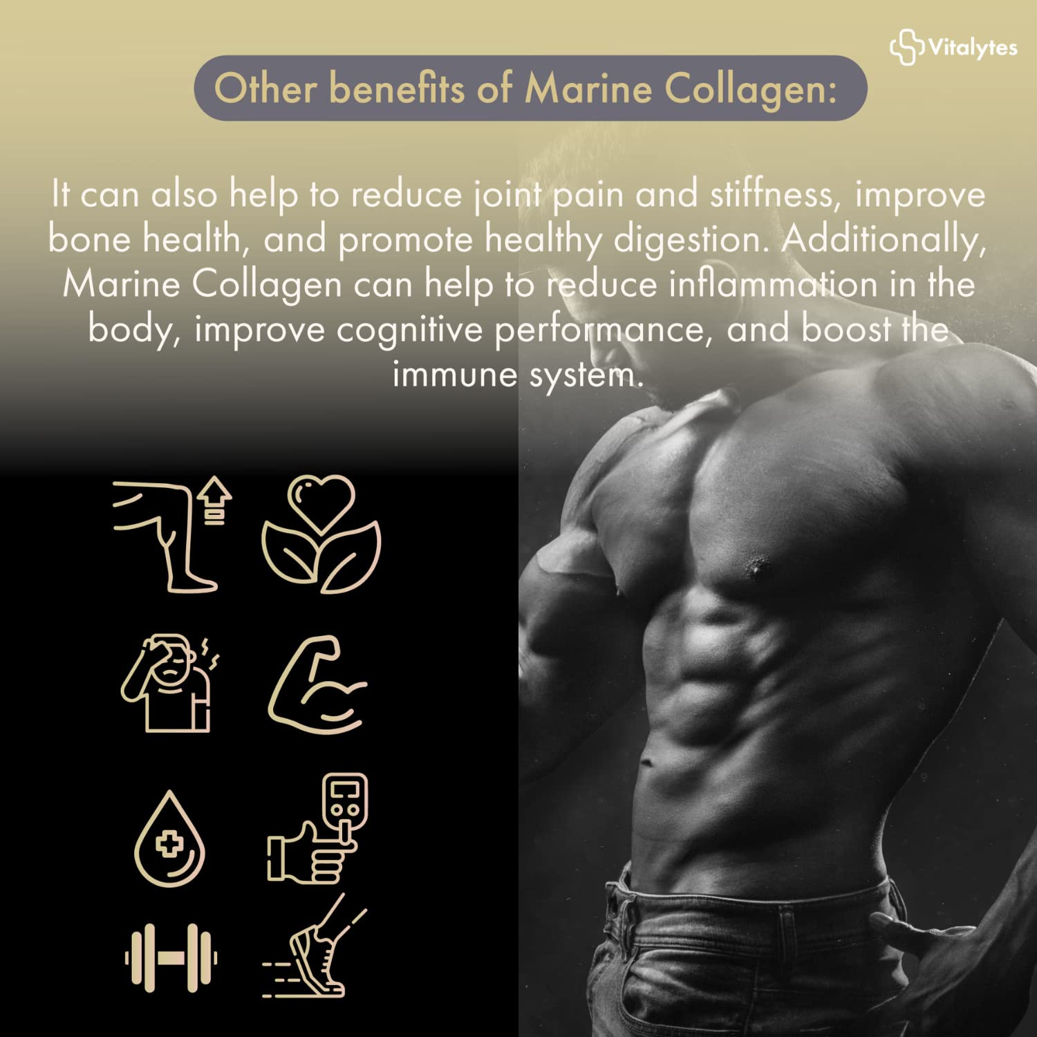 Vitalytes Marine Collagen Supplement 2400mg | 120 Marine Collagen Capsules Made in The UK Vitalytes buy supplements canada