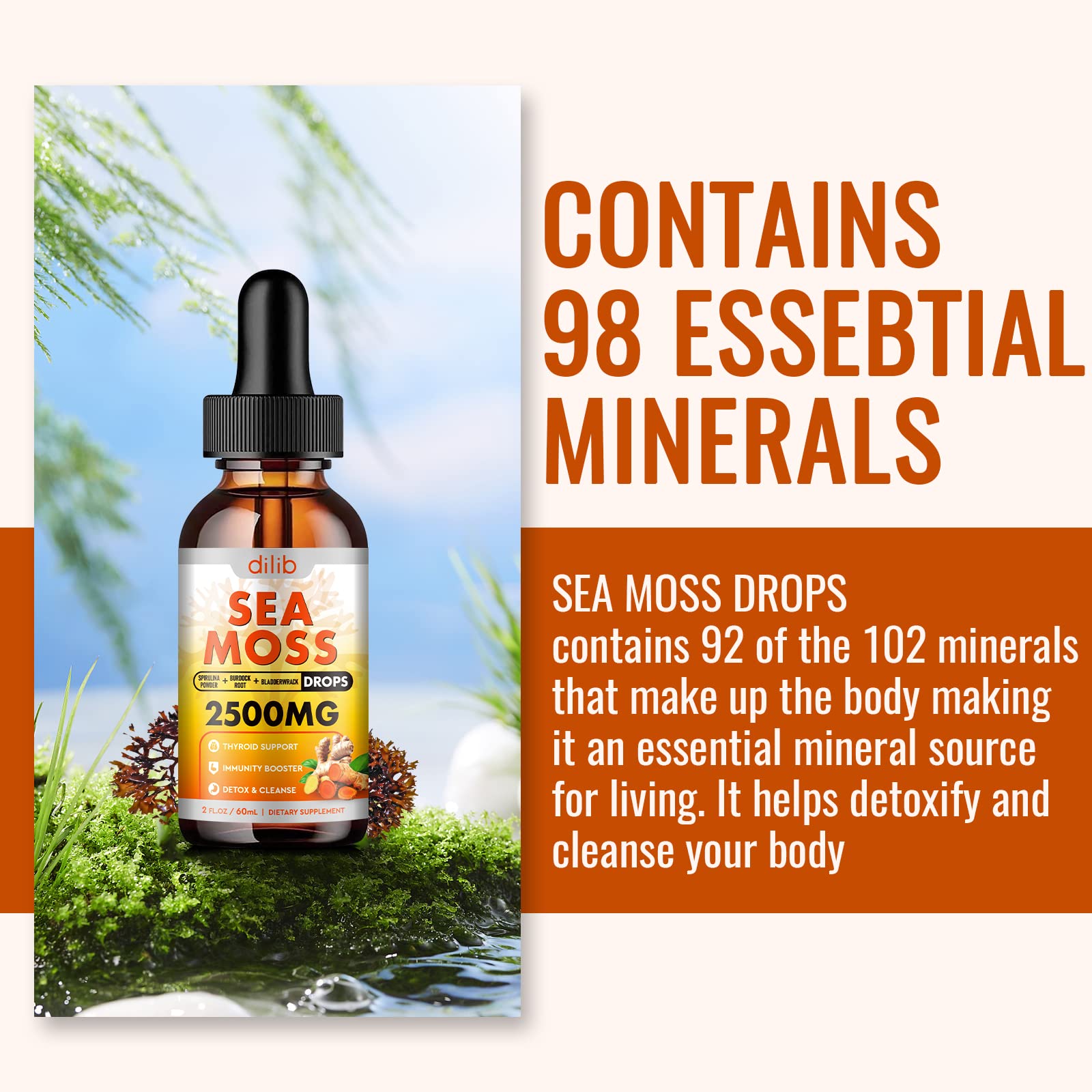Sea Moss Liquid Drops: Organic Irish Sea Moss 2500mg with Turmeric, Bladderwrack dilib buy supplements canada