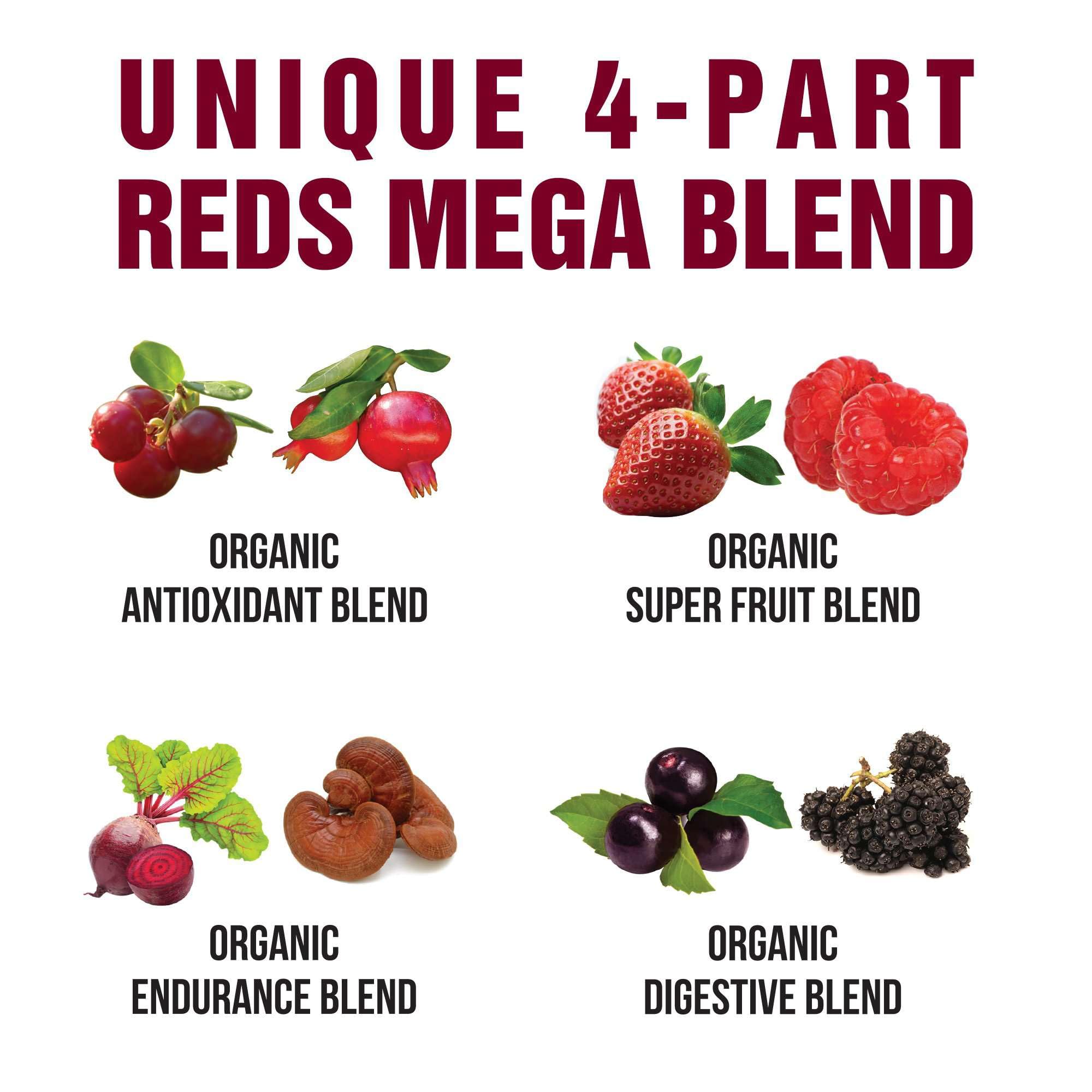 Peak Performance Organic Reds Superfood Powder, Best Tasting Organic Red Juice Super Food w/ 25+ All Natural Ingredients & Polyphenols, Vital for Max Energy and Detox. Raspberry, Elderberry, Beetroot Peak Performance buy supplements canada