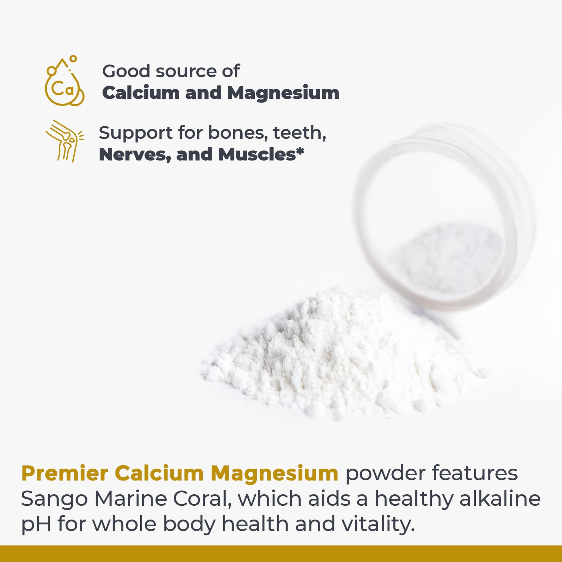 Premier Research Labs Calcium Magnesium Powder - Natural Coral Calcium Powder for Bone Health, Mix with Water for Alkaline PH Balance - 8 oz Premier Research Labs buy supplements canada