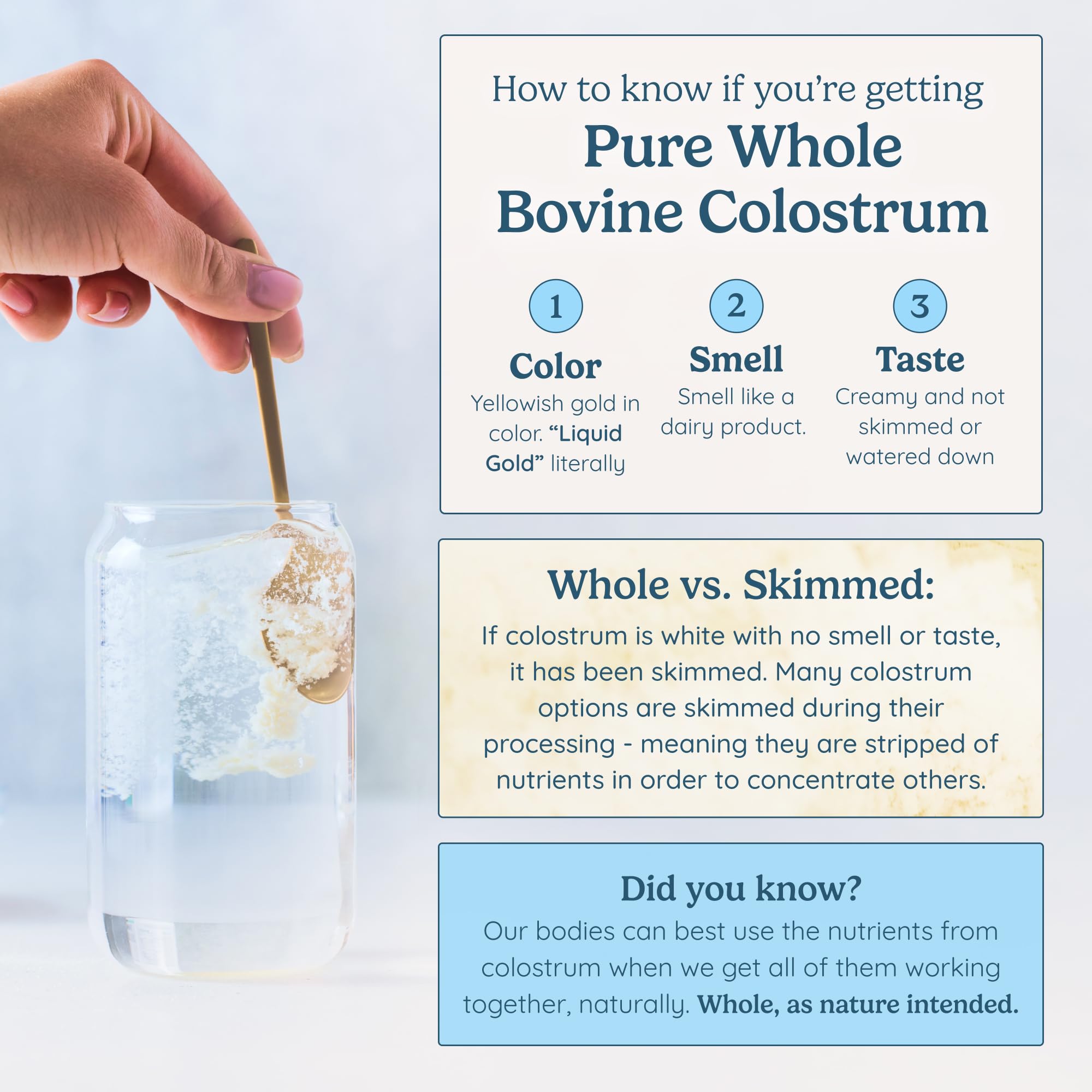 WONDERCOW Colostrum Supplement Powder for Gut Health, Immune Support & Wellness | Natural IgG Pure Whole Bovine Colostrum Superfood, Unflavored, 30 Servings WONDERCOW buy supplements canada