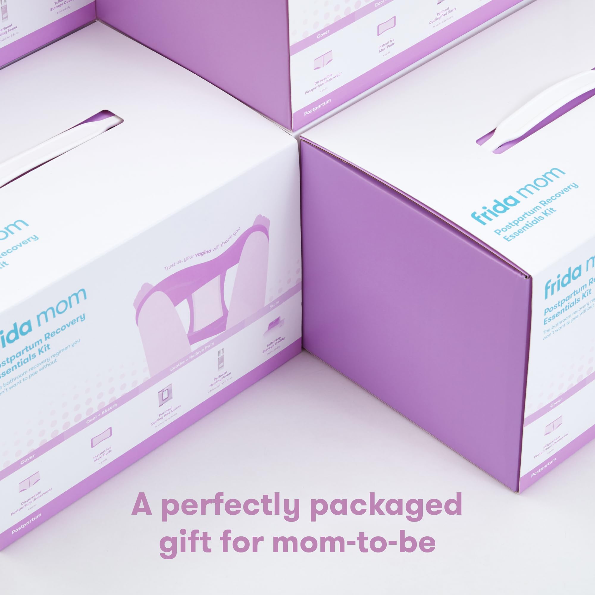 Frida Mom Postpartum Recovery Essentials Kit, New Mom Gifts, Cooling Pad Liners, Ice Maxi Pads Frida Mom buy supplements canada