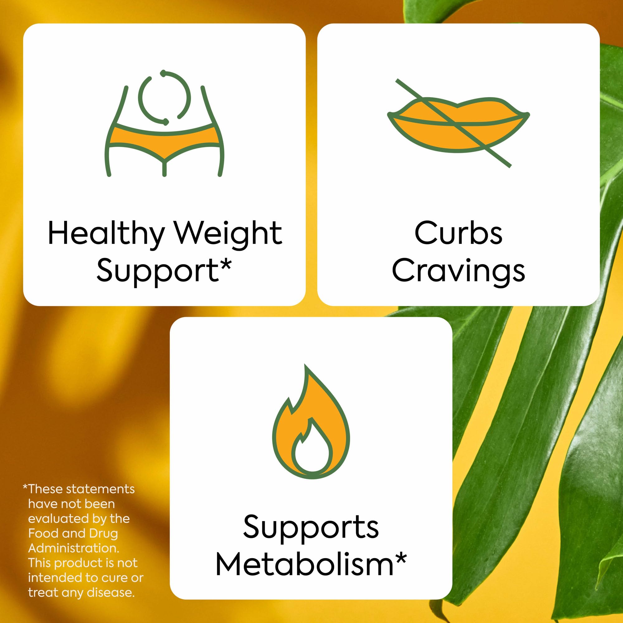 Plant People WonderBurn Metabolism & Cravings Control Gummies, Zero Sugar, Ripe Mango Flavor (60 Count) Plant People buy supplements canada