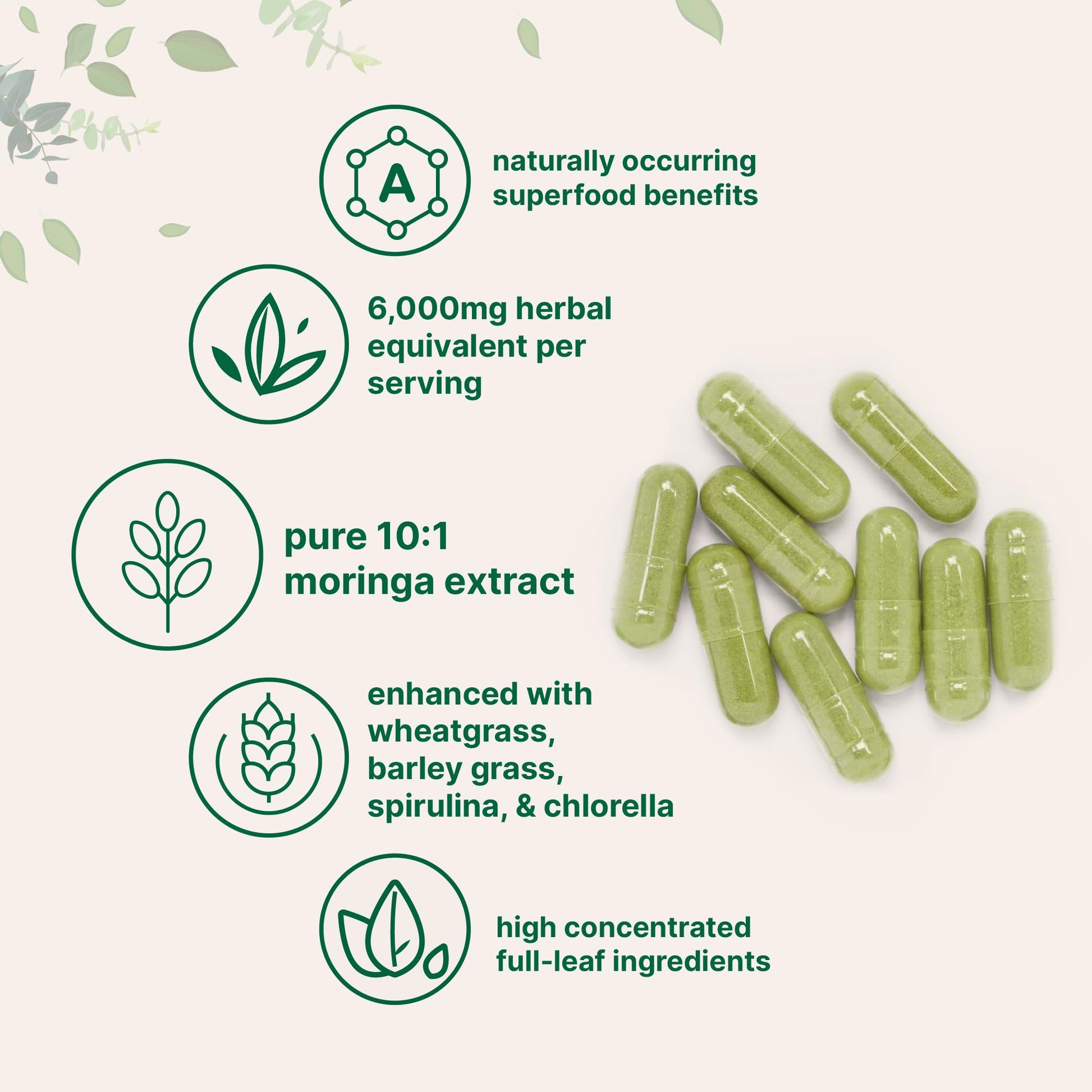 Micro Ingredients Moringa Oleifera | 300 Capsules with Supergreens Blend of Wheatgrass, Barley Grass, Spirulina, & Chlorella | Antioxidant Supplement, Energy, & Immune Support | Non-GMO Micro Ingredients buy supplements canada