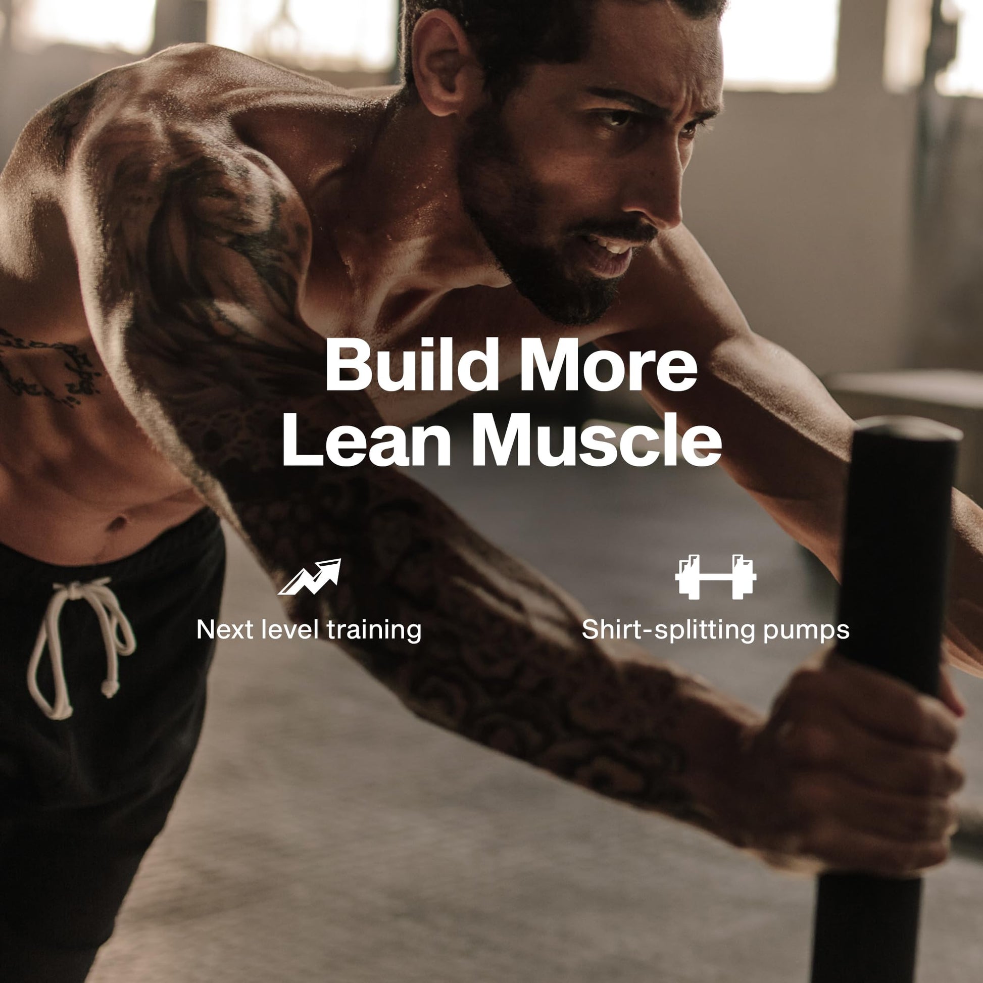 Muscletech Nitric Oxide Supplements for Men & Women, Muscle Builder (60 Capsules) - Nitric Oxide Booster Supplement Supports Muscle Gain & Performance MuscleTech buy supplements canada