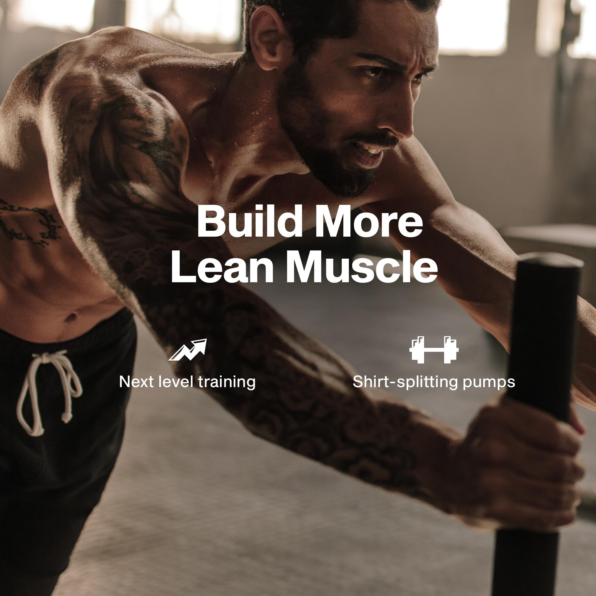 Muscletech Nitric Oxide Supplements for Men & Women, Muscle Builder (60 Capsules) - Nitric Oxide Booster Supplement Supports Muscle Gain & Performance MuscleTech buy supplements canada