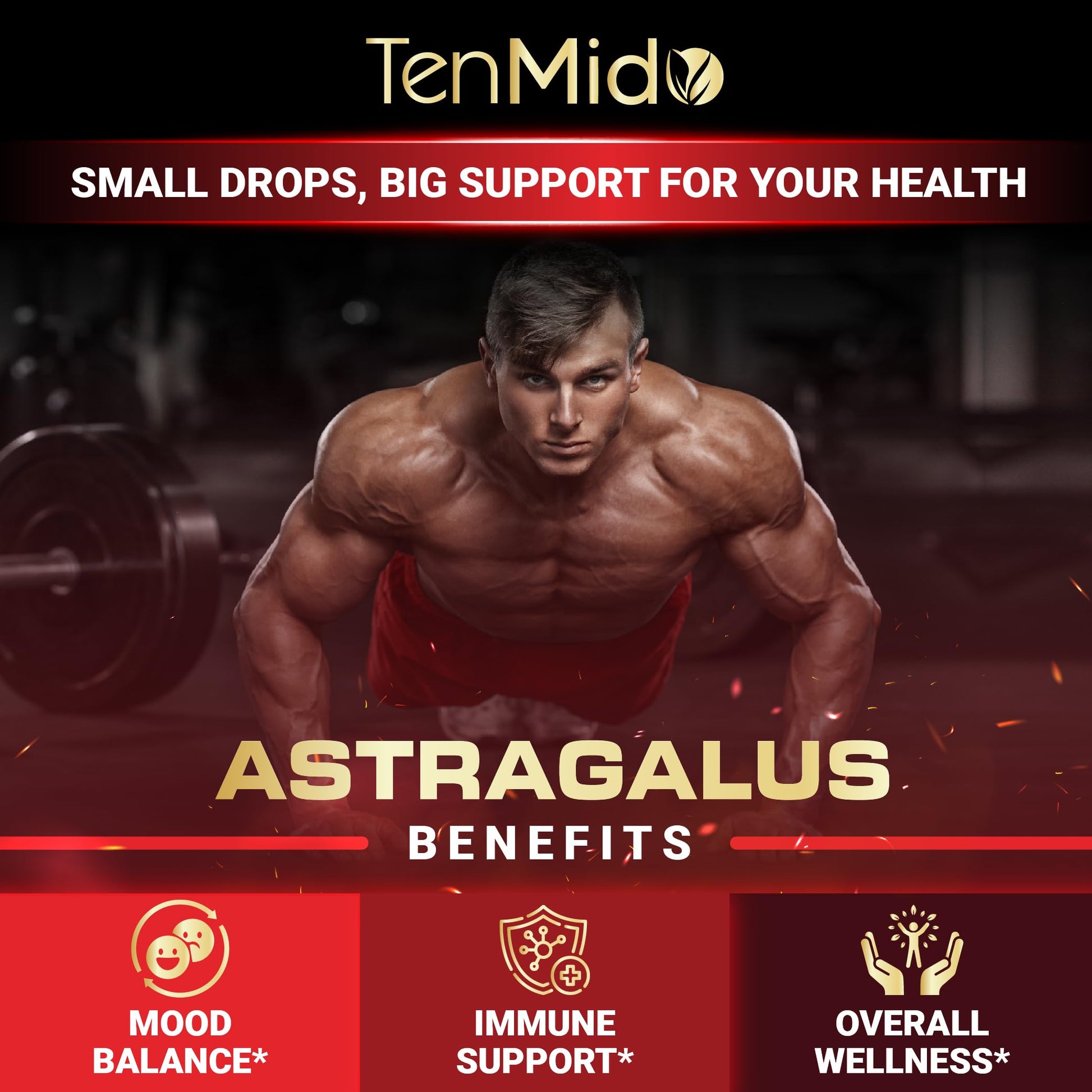 Tenmido 6-in-1 Astragalus Root Tincture - Herbal Extract Supplements with Quercetin, Rhodiola Rosea, Vitamin D3, Vitamin C, and Zinc - Vegan, Non-GMO - 30ml 1 Fl Oz Tenmido buy supplements canada