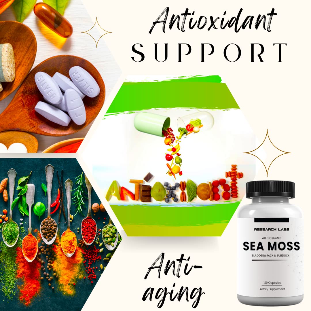 Research Labs 2 Fer 1 Ad Organic Irish Sea Moss Capsules 240 Total Pills, Raw Wildcrafted Seamoss Enhanced w/Bladderwrack & Burdock Root Antioxidant Powerhouse. Thyroid Support Research Labs buy supplements canada