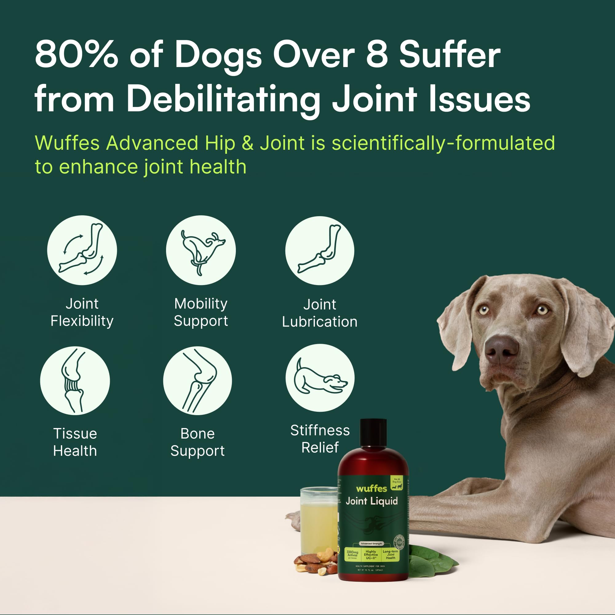 Wuffes Advanced Joint Liquid for Dogs, Hip & Joint Support Supplement with Glucosamine, Chondroitin, UC-II® Collagen, and MSM, for Small & Large Breeds, 16 Oz Wuffes buy supplements canada