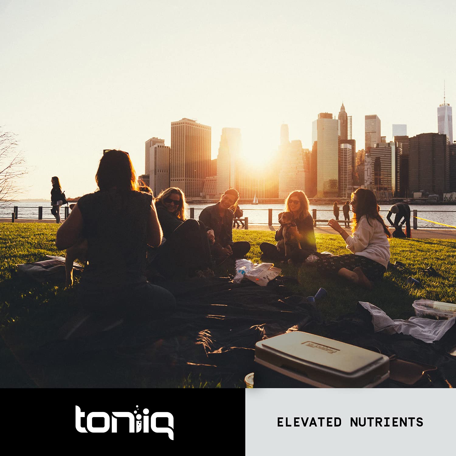 Toniiq Ultra High Strength Berberine HCl 500mg from The Himalayas - Berberine Suppleme Toniiq buy supplements canada