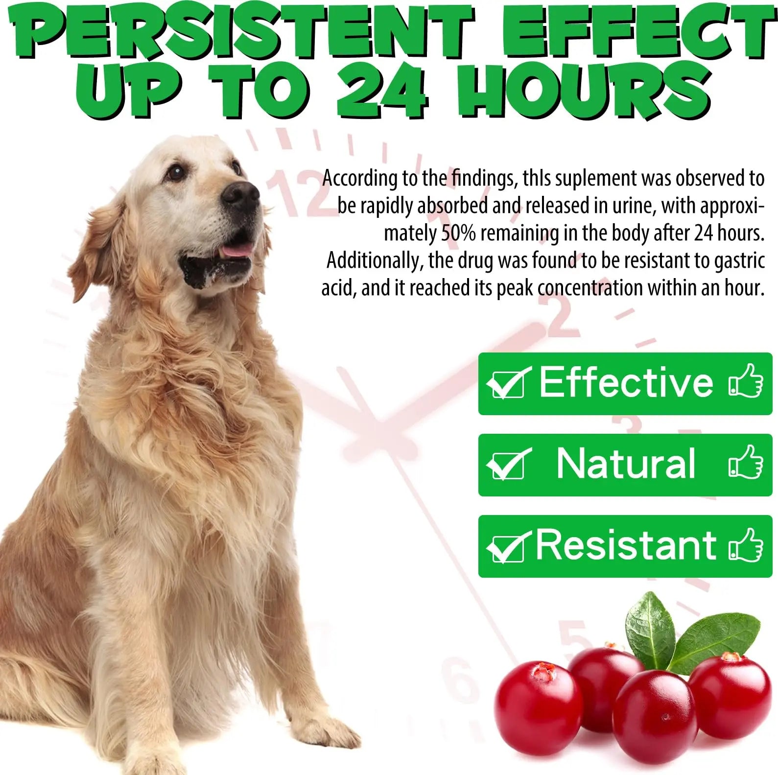 Dog UTI Treatment - Urinary Tract Infection Treatments, Kidney+Bladder Support Supplement, Natural Cranberry Extract for Dogs, Supports Urinary and Digestive Health (2 Fl Oz (Pack of 2)) Onznoz buy supplements canada