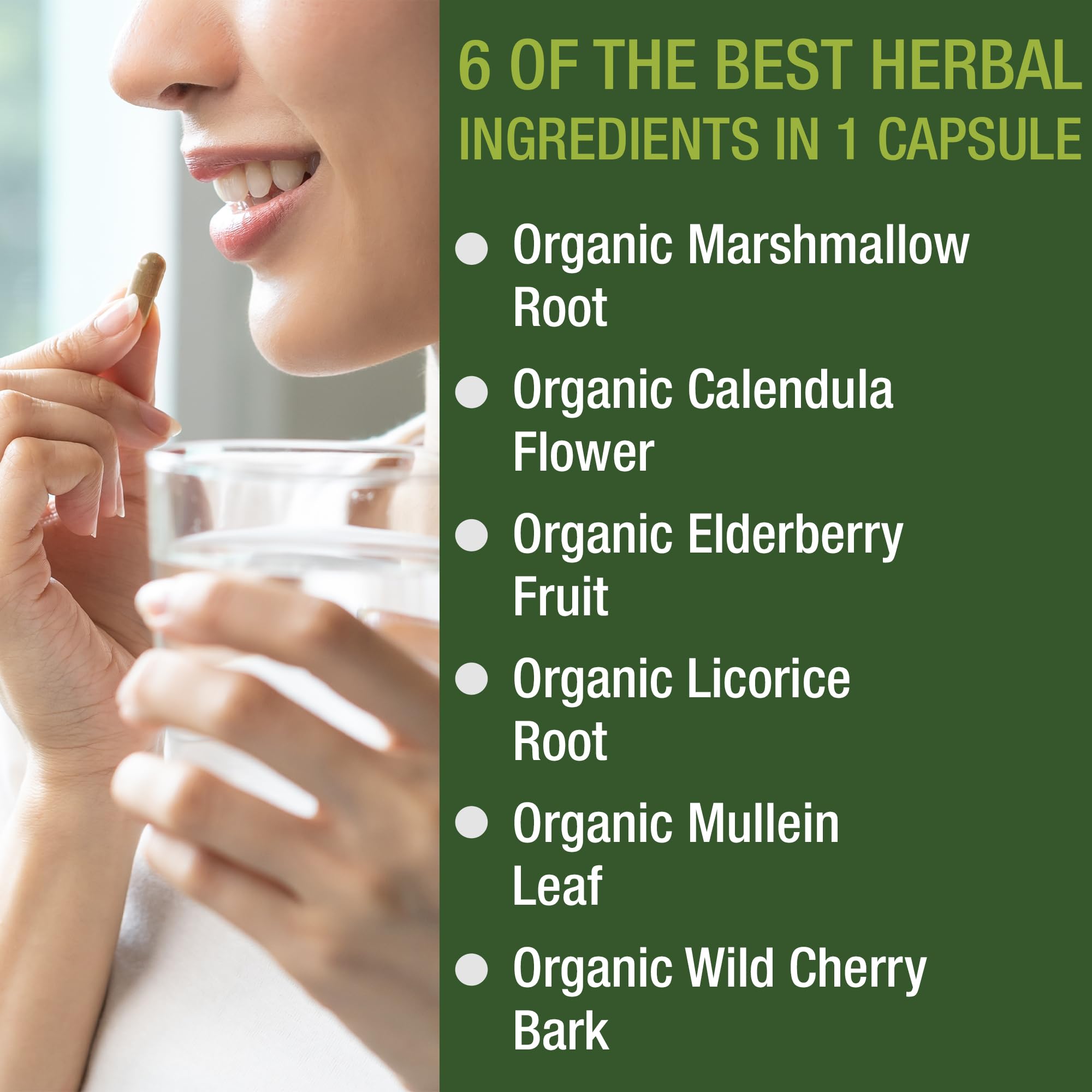 USDA Organic Lung Detox for Smokers and Non Smokers with 6 Top Ingredients. Mullein Leaf, Marshmallow Root, Calendula. Lungs Cleanse for Better Respiratory Health. Lung Support Capsules Supplement Peak Performance buy supplements canada