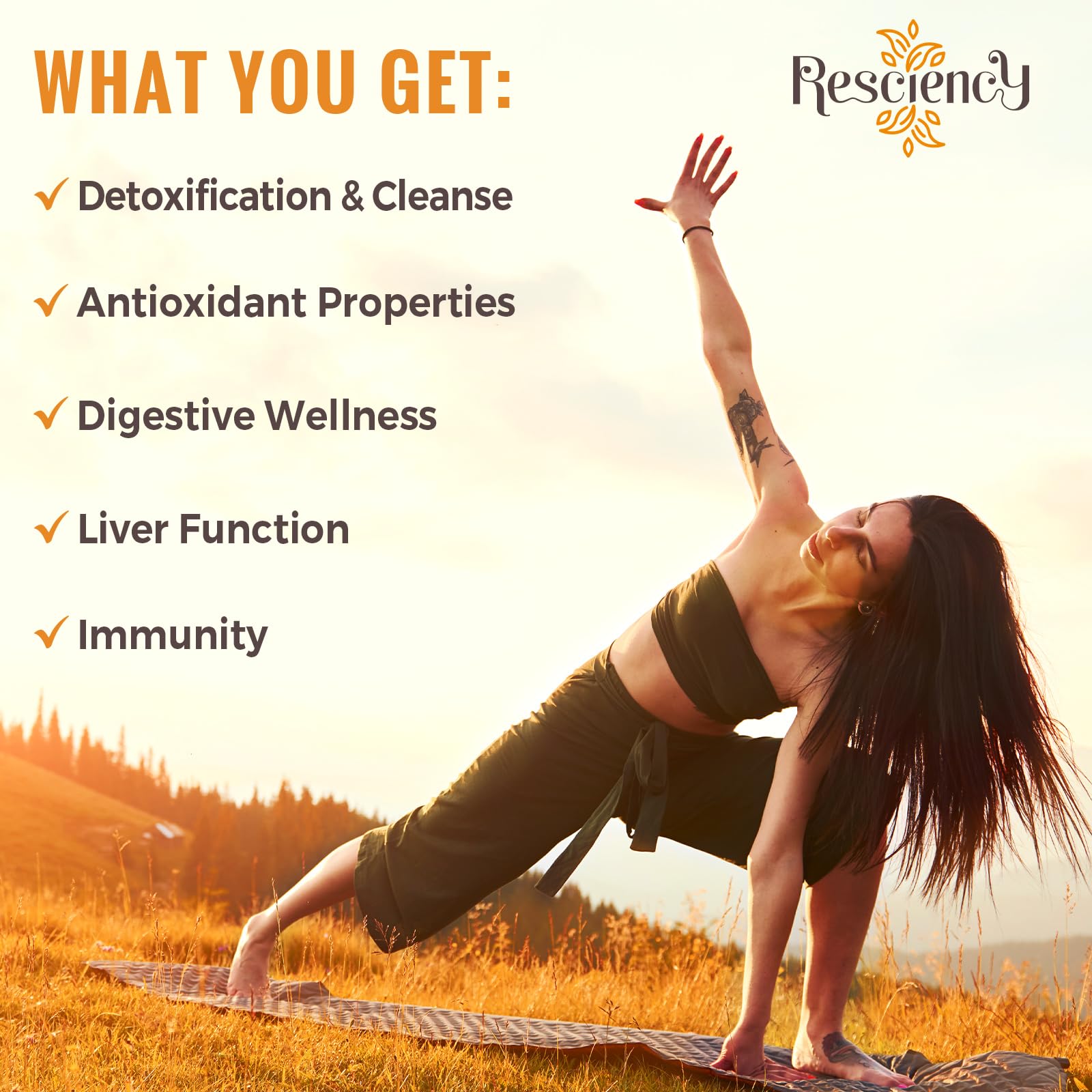 Resciency Detox Binder Supplement – Activated Charcoal, Zeolite, Bentonite Clay, Milk Thistle, Proprietary Blends - Liver & Gut, Max Absorption, 90 Vegan Capsules Resciency buy supplements canada