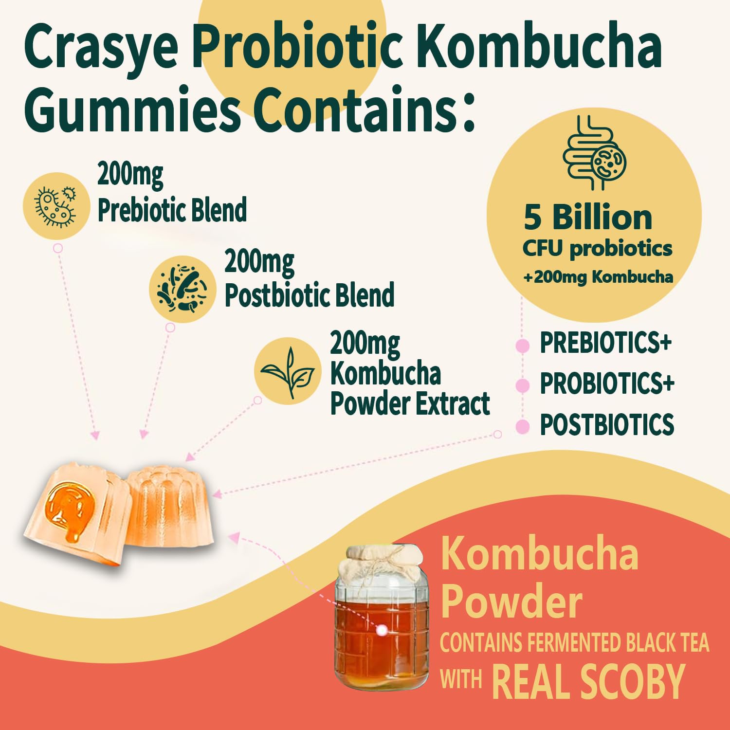 Crasye Probiotic Kombucha Gummies Sugar Free Prebiotic Postbiotic Probiotics Gummy for Women and Men Bloating Gut Health Immune and Digestive Support - 60 Gummies - 30 Servings Crasye buy supplements canada