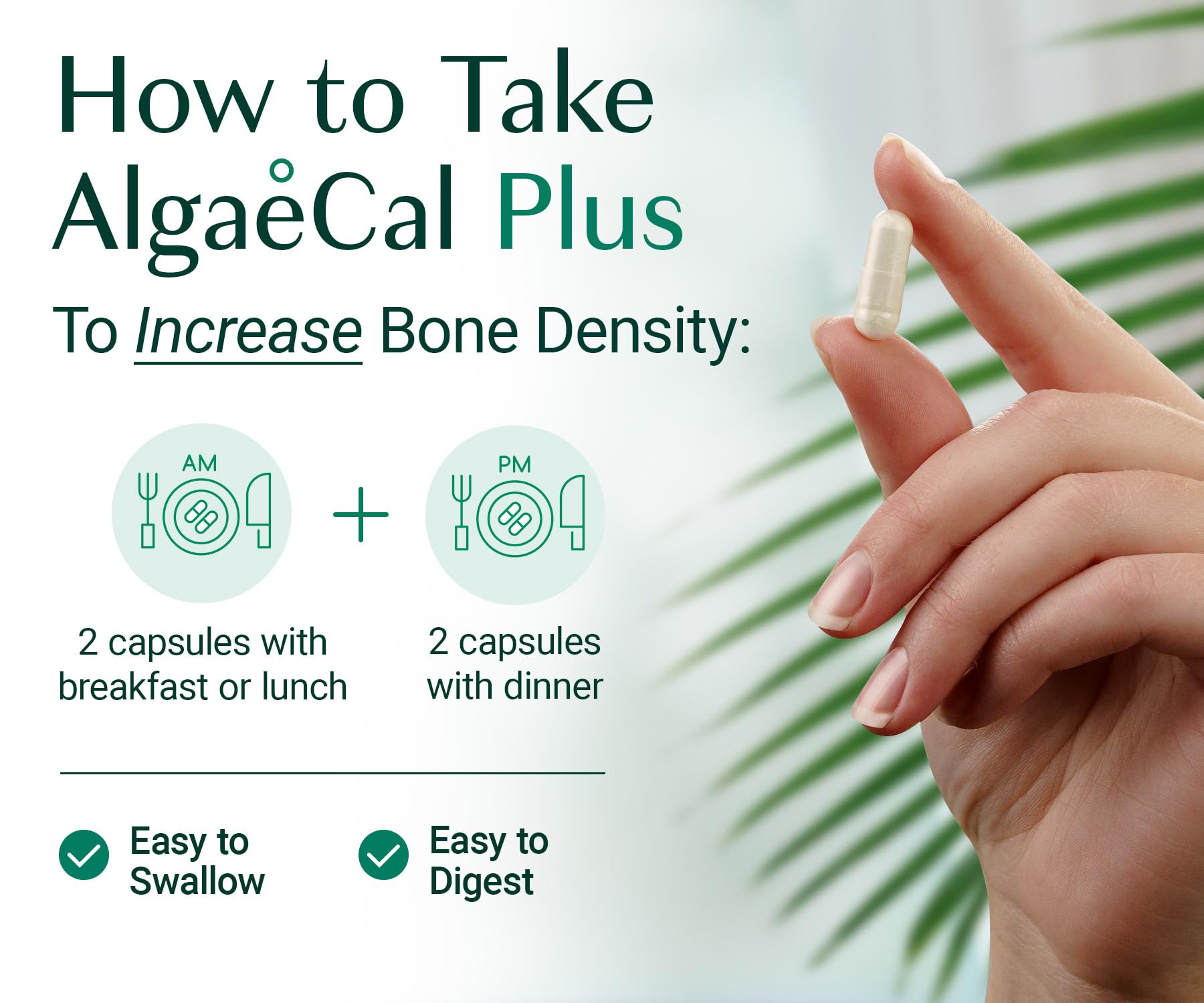 ALGAECAL Organic Red Algae Calcium Supplement for Bone Density, Vitamin K2 MK7 (100mg), Vitamin D3 (1600 IU), Magnesium (350mg) & Trace Minerals & Strength