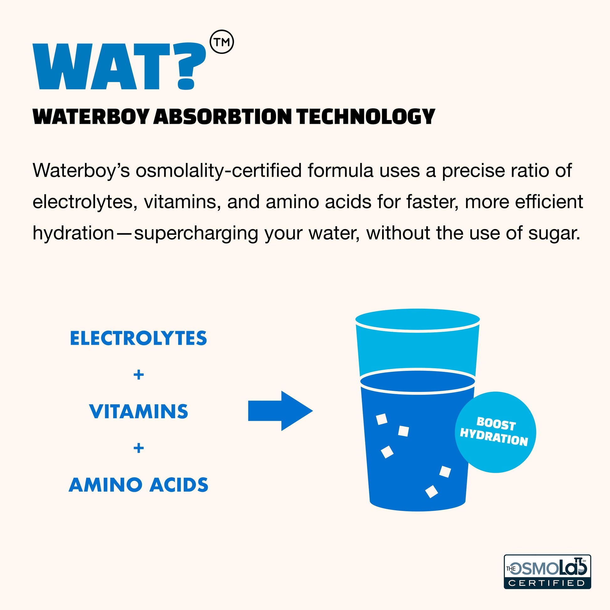 Waterboy Daily Hydration | 1,570mg Electrolyte Powder Packets | No Sugar, All Natural, Gluten Free, Zero Calories | 15 Drink Stick Mixes (Watermelon) Waterboy buy supplements canada