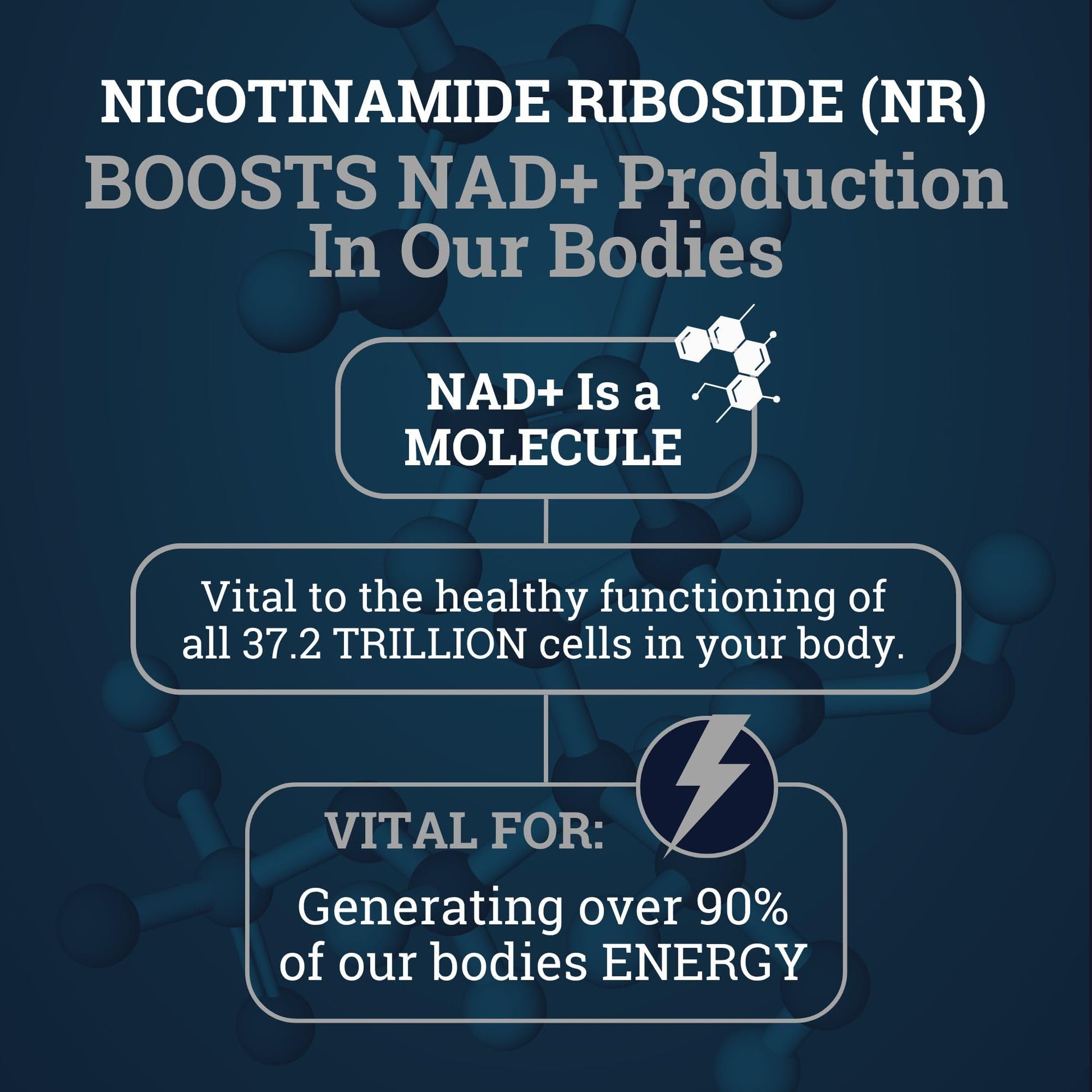 Black Forest NAD Nicotinamide Riboside 900 mg (Liposomal Nicotinamide Riboside 900mg Resveratrol, Quercetin 500mg & 150mg of NAD Resveratrol Supplement) 1550 MGS NR Supplement 900mg NAD+ Black Forest buy supplements canada