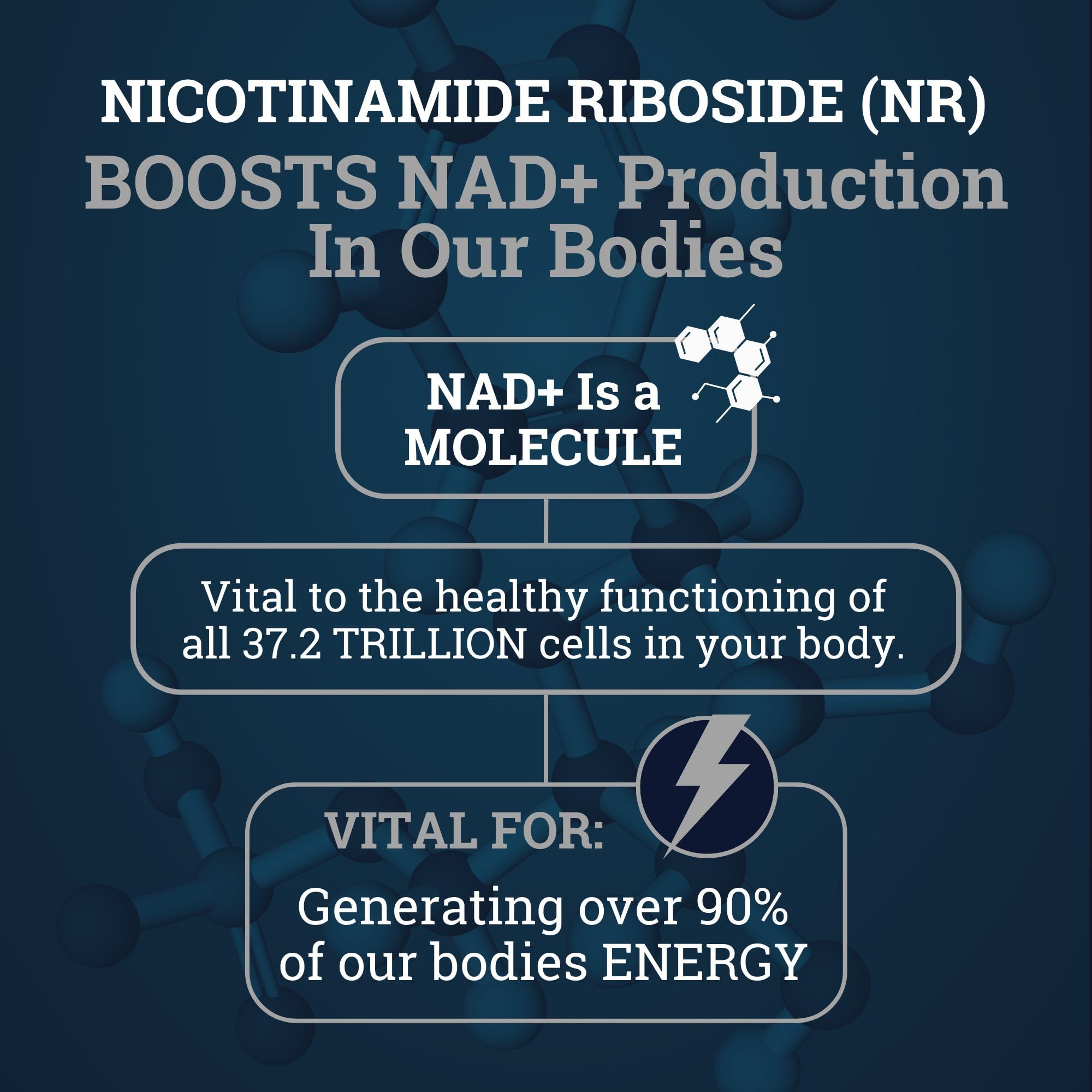 Black Forest NAD Nicotinamide Riboside 900 mg (Liposomal Nicotinamide Riboside 900mg Resveratrol, Quercetin 500mg & 150mg of NAD Resveratrol Supplement) 1550 MGS NR Supplement 900mg NAD+ Black Forest buy supplements canada