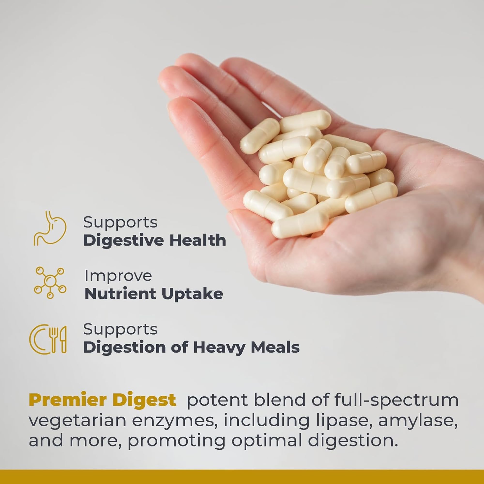Premier Research Labs Active Digestive Enzymes with Probiotic and Prebiotics - Promotes Full-Spectrum Digestive Support - with Amylase, Protease & Lipase, 60 Plant-Sourced Capsules Premier Research Labs buy supplements canada