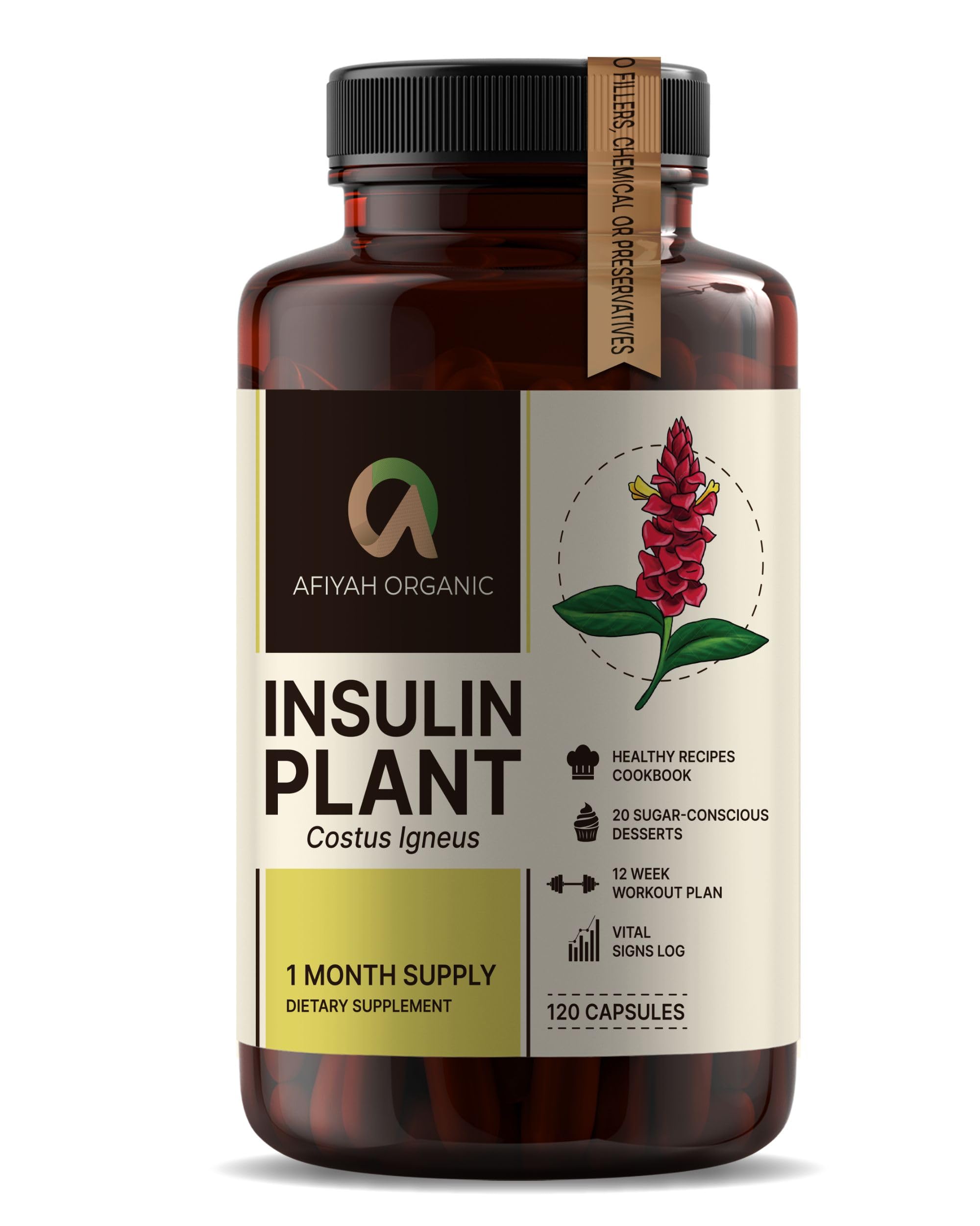 Afiyah Organic - Premium Quality Costus Igneus (Insulin Plant) Capsules - Easy to Swallow 120 Veggie Capsules (1 Month Supply) - Made in the USA - Including Complete Health Support Program Afiyah Organic buy supplements canada
