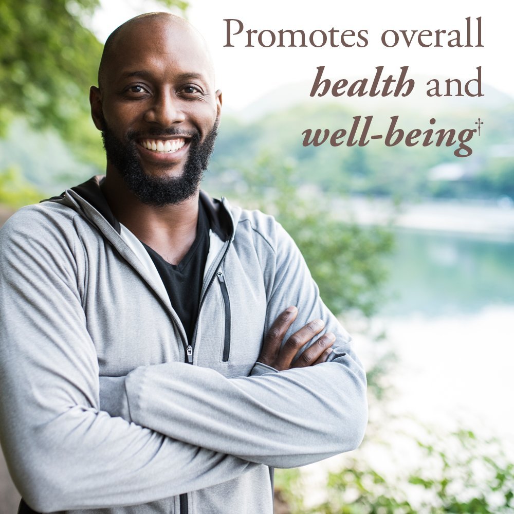 Garden of Life Organics Whole Food Multivitamin for Men 40+ 120 Tablets, Vegan Mens Multi for Health Garden of Life buy supplements canada