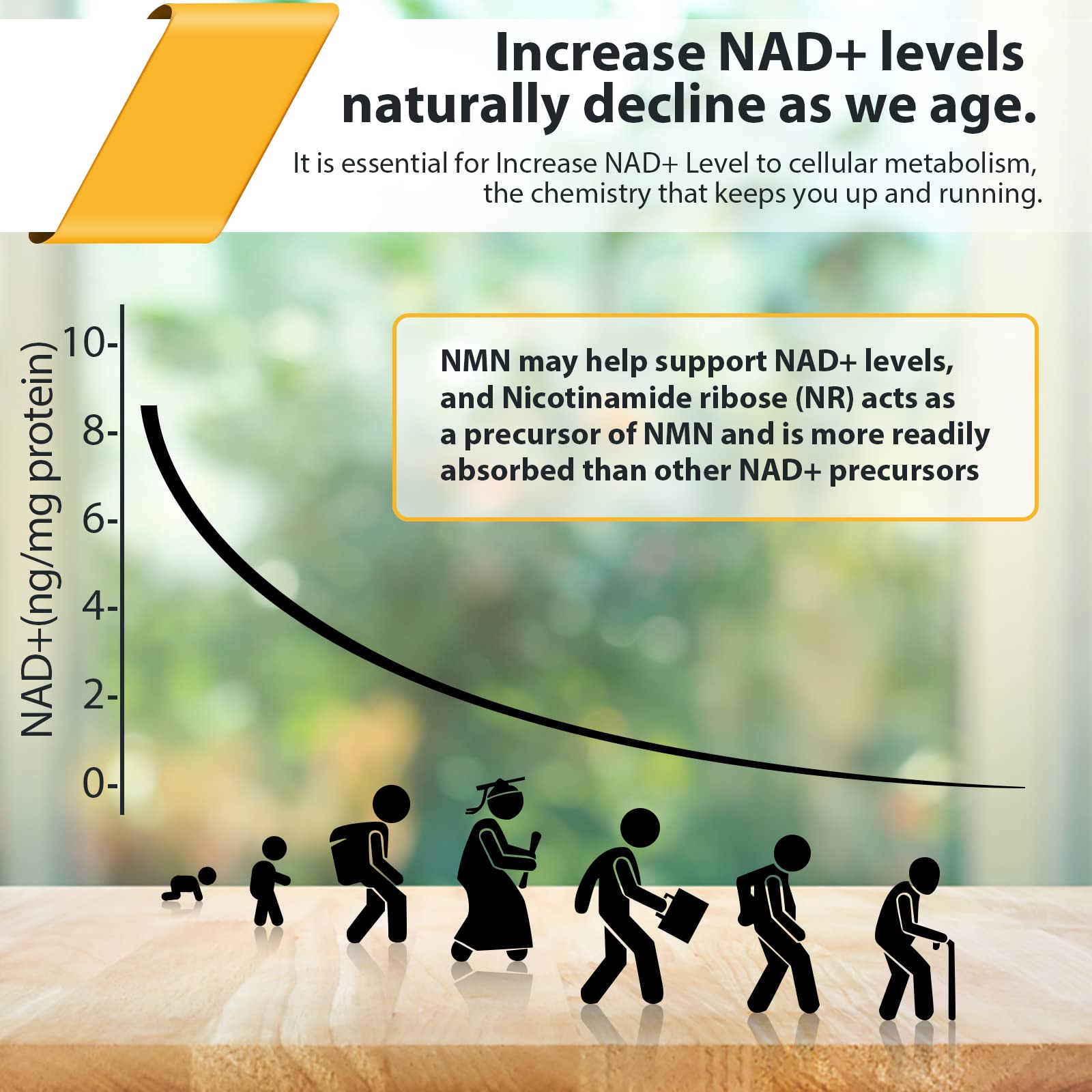 Liposomal Nicotinamide Riboside 2000 MG with TMG and Pterostilbene, Similar to NMN Supplements Boost NAD+, Support Healthy Aging, 240 Count Orgabay buy supplements canada