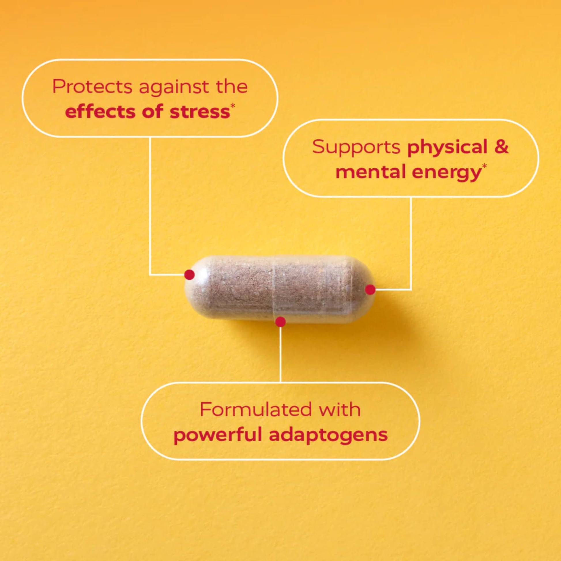 Redd Remedies, True Energy, Supports Energy Production and Stamina, 50 Vegan Capsules Redd Remedies buy supplements canada