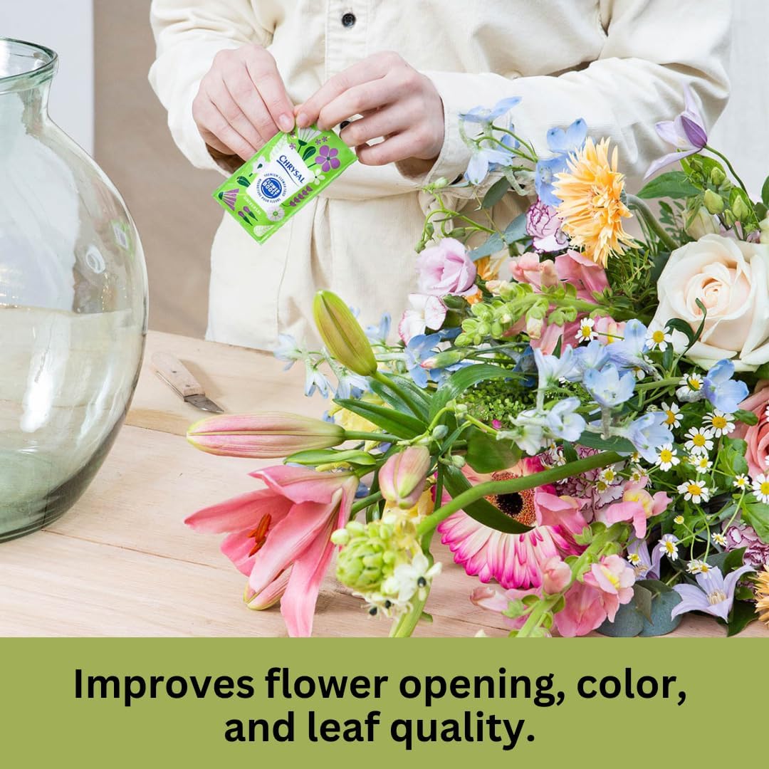Chrysal Clear Flower Food Packets – Single Packet – Flower Arrangements & Bouquets – Floral Supplies Chrysal buy supplements canada