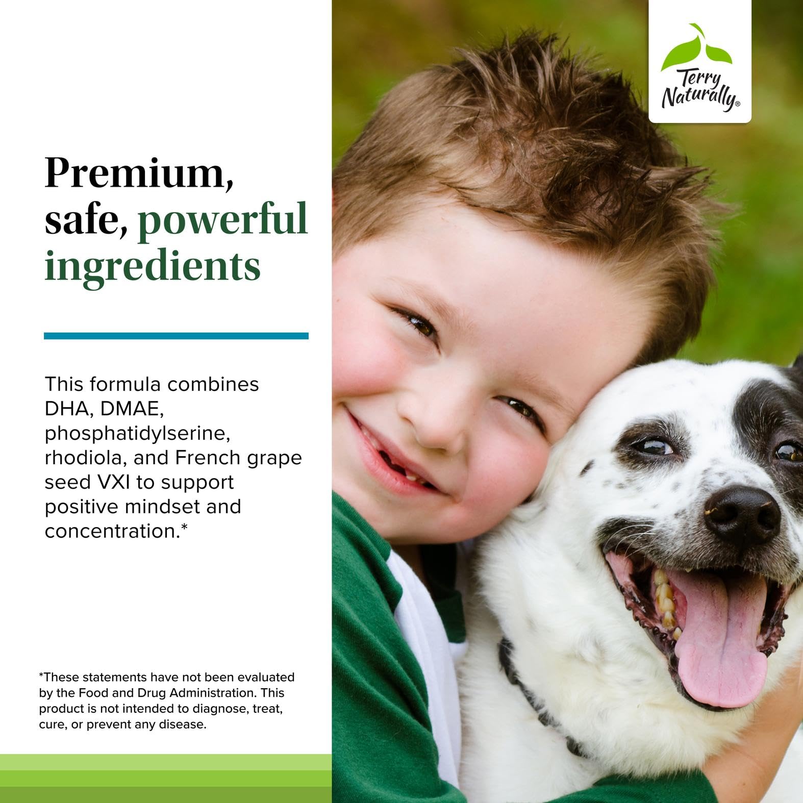 Terry Naturally Calm Kids - Calm Child Supplement - Brain Health for Focus, Memory & Concentration - Attention Supplement for Kids - Support Learning & Concentration - 60 Capsules Terry Naturally buy supplements canada