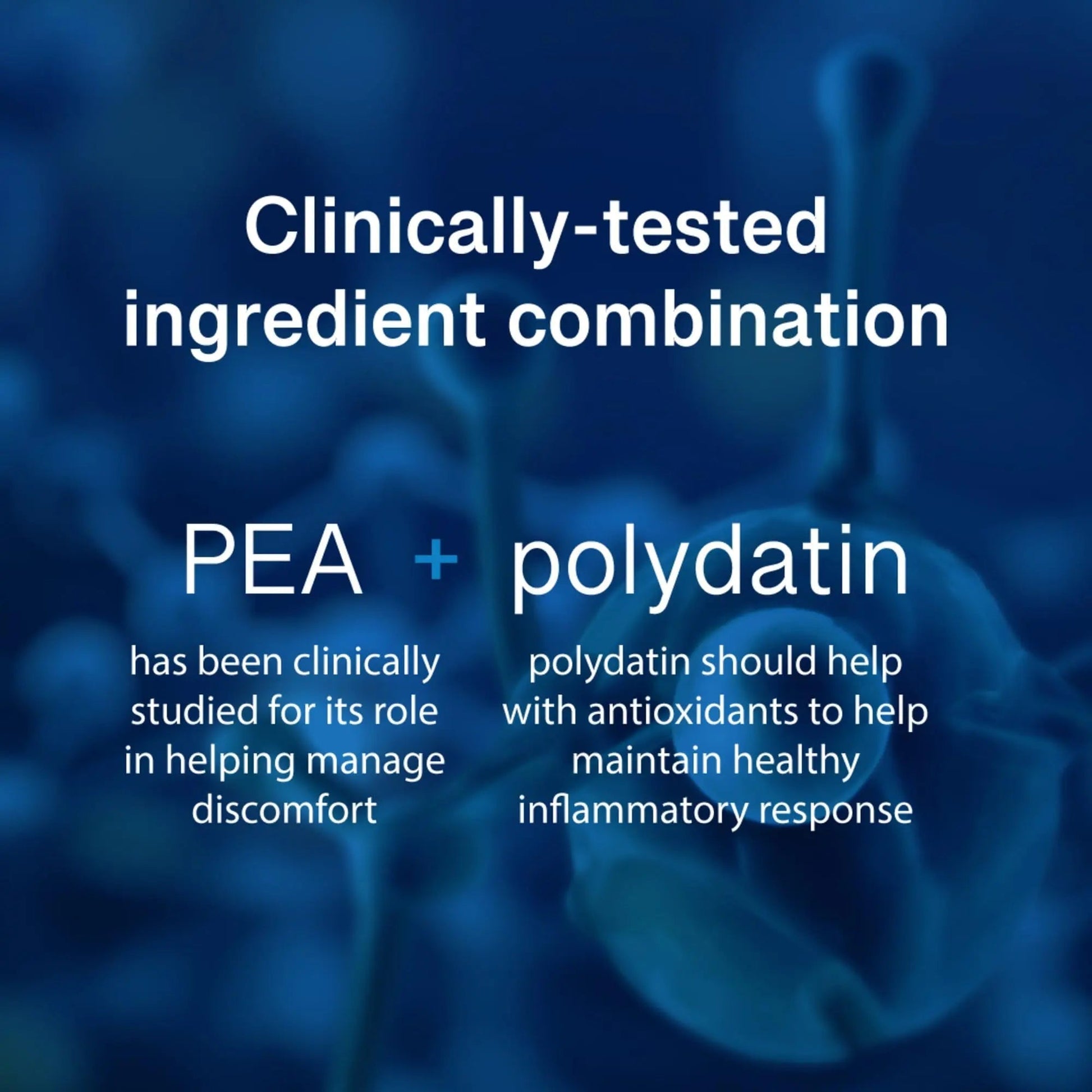 PEAlief Pea + Polydatin – New Bladder & Urinary Comfort Support with Clinically Tested Ingredient Combination — One Pill Per Day, 60 Day Supply PEAlief buy supplements canada