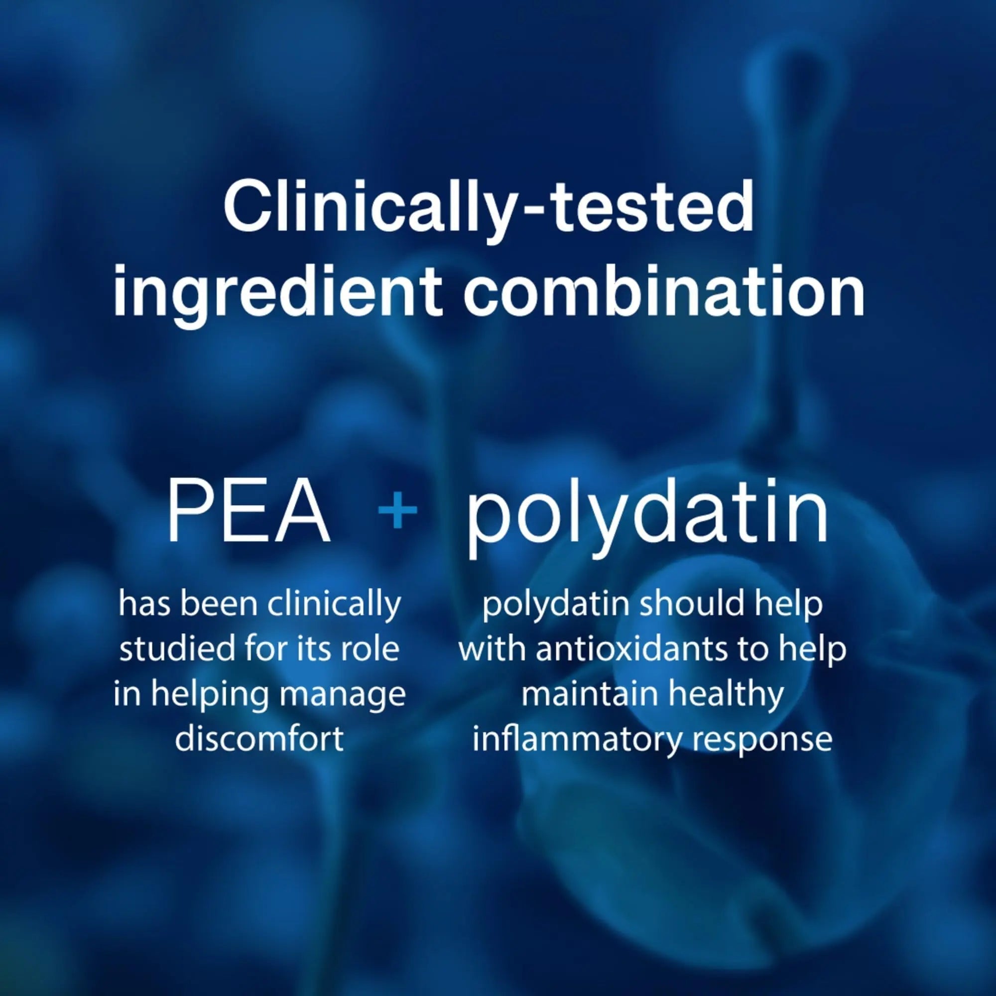 PEAlief Pea + Polydatin – New Bladder & Urinary Comfort Support with Clinically Tested Ingredient Combination — One Pill Per Day, 60 Day Supply PEAlief buy supplements canada