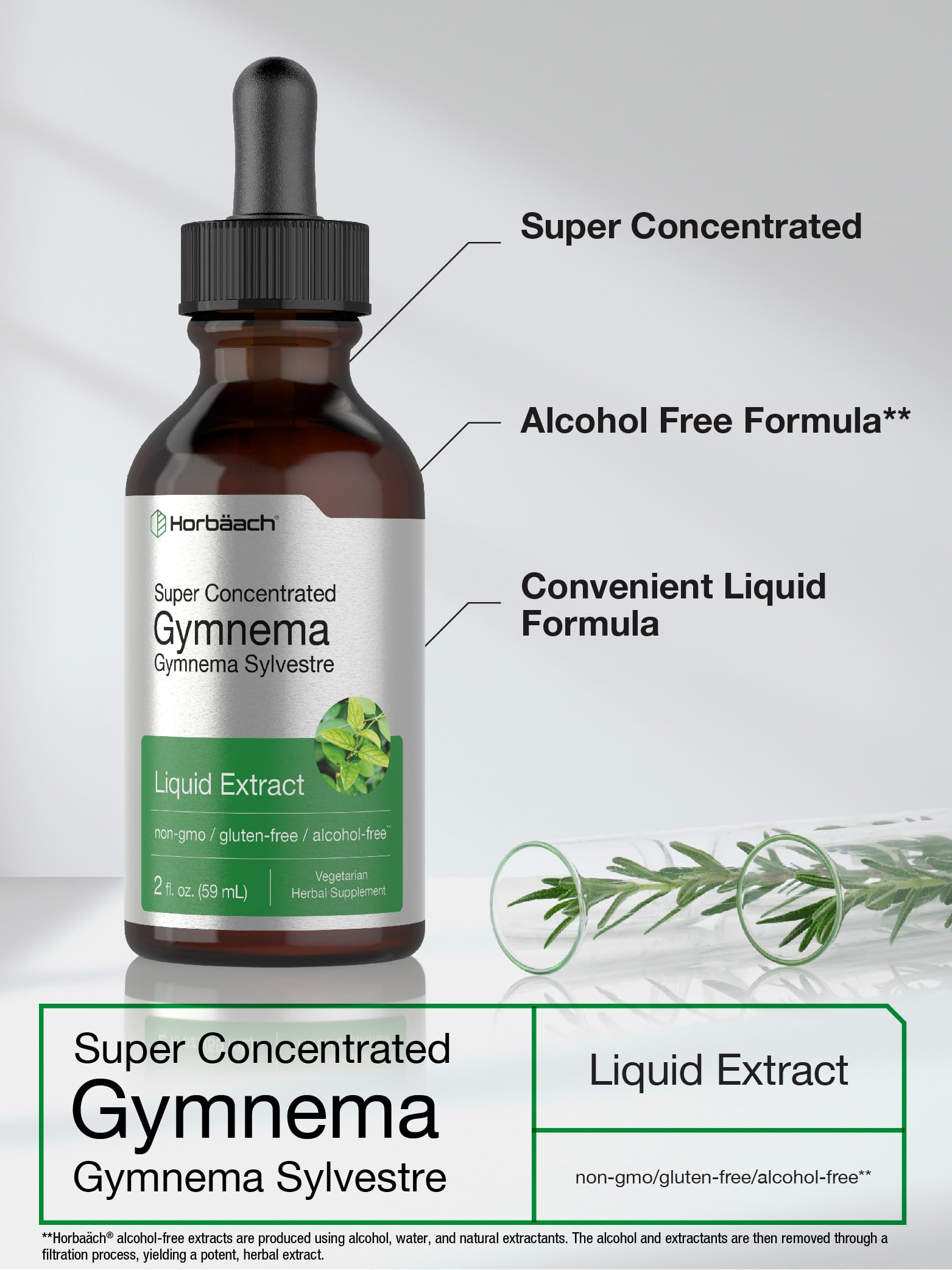 Gymnema Sylvestre Liquid | 2 fl oz | Alcohol Free Supplement | Super Concentrated Horbäach buy supplements canada