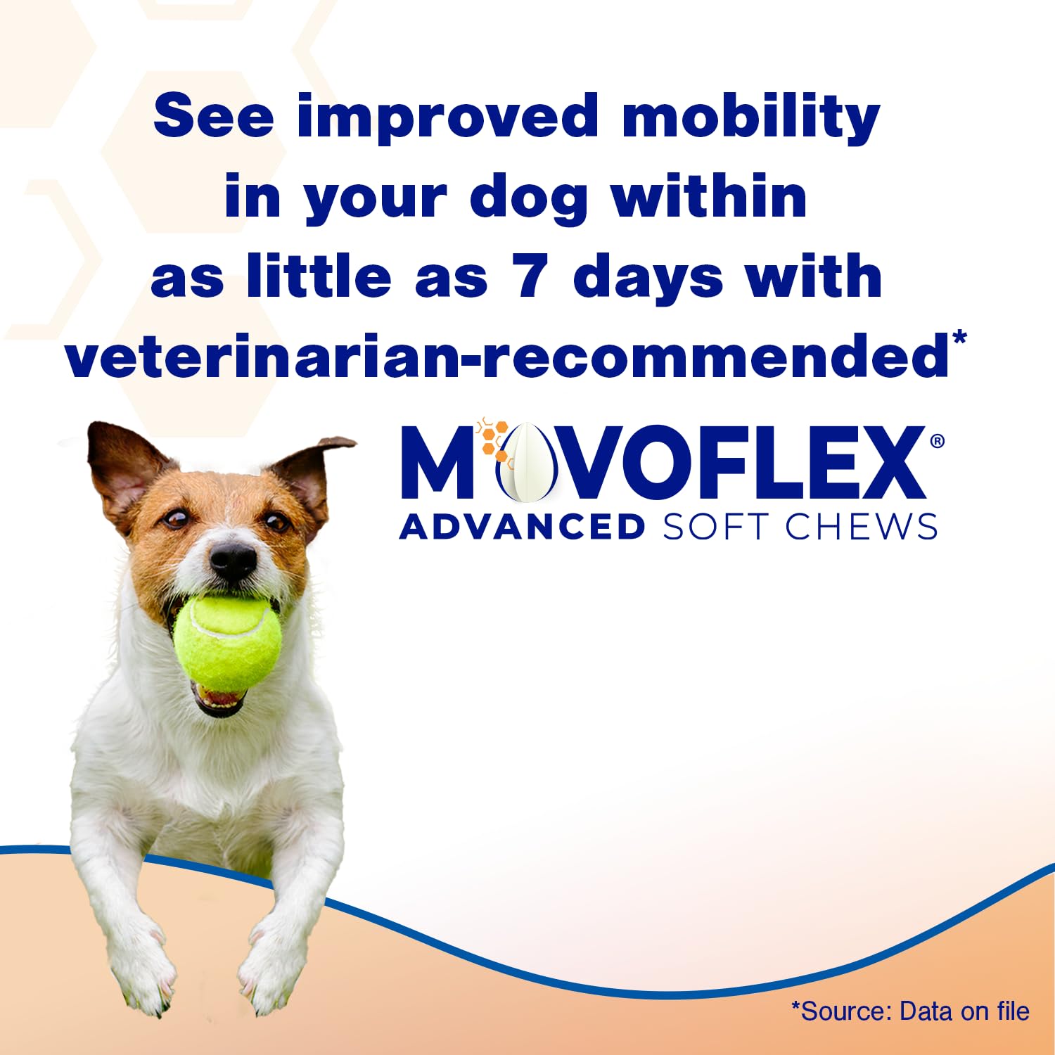 MOVOFLEX Advanced Soft Chews Hip Joint Support Supplement for Large Dogs 60 Count by Virbac MOVOFLEX buy supplements canada