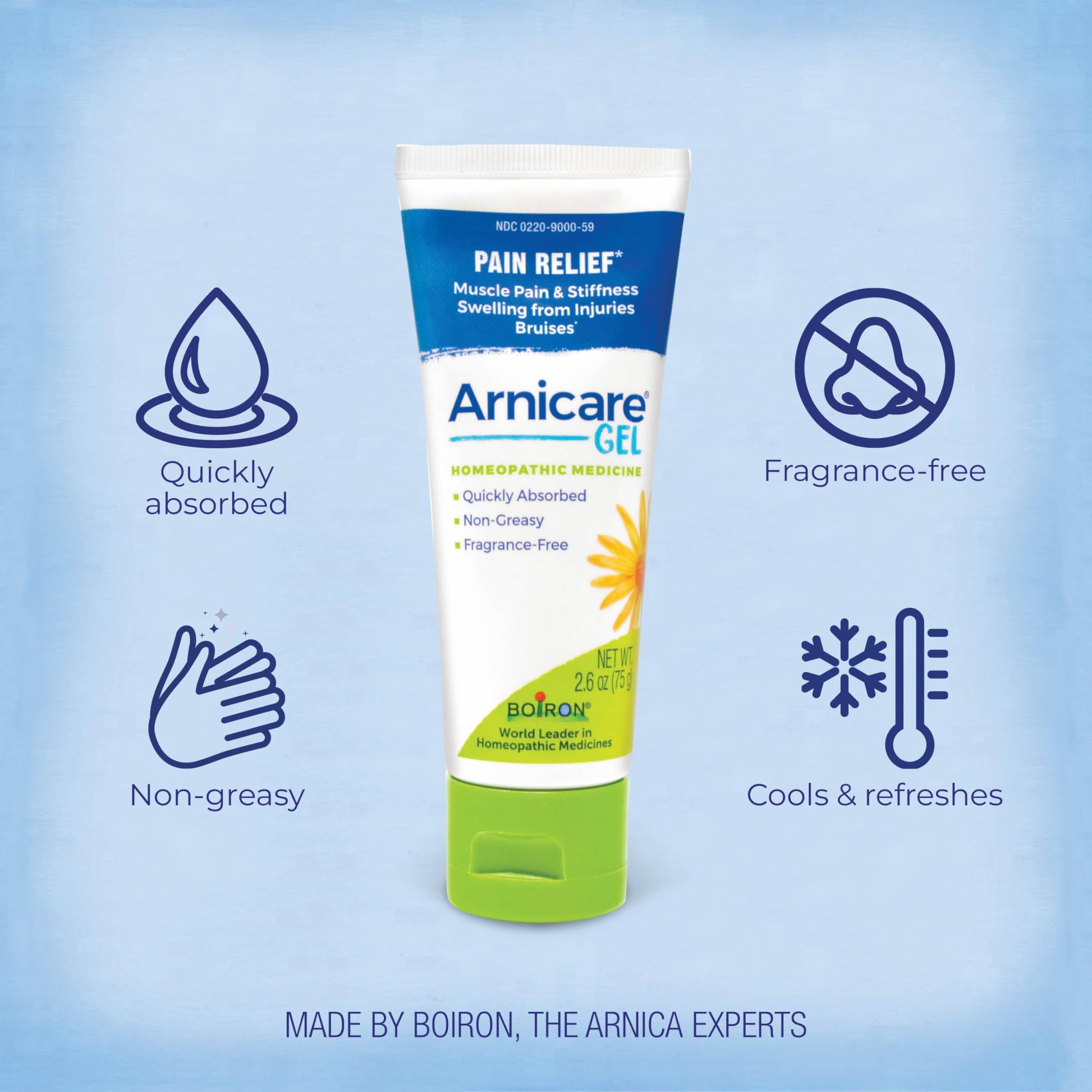 Boiron Arnicare Gel for Joint Pain, Muscle Pain, Swelling, Soreness, and Stiffness - Non-greasy and Fragrance-Free - 2.6 oz Boiron buy supplements canada