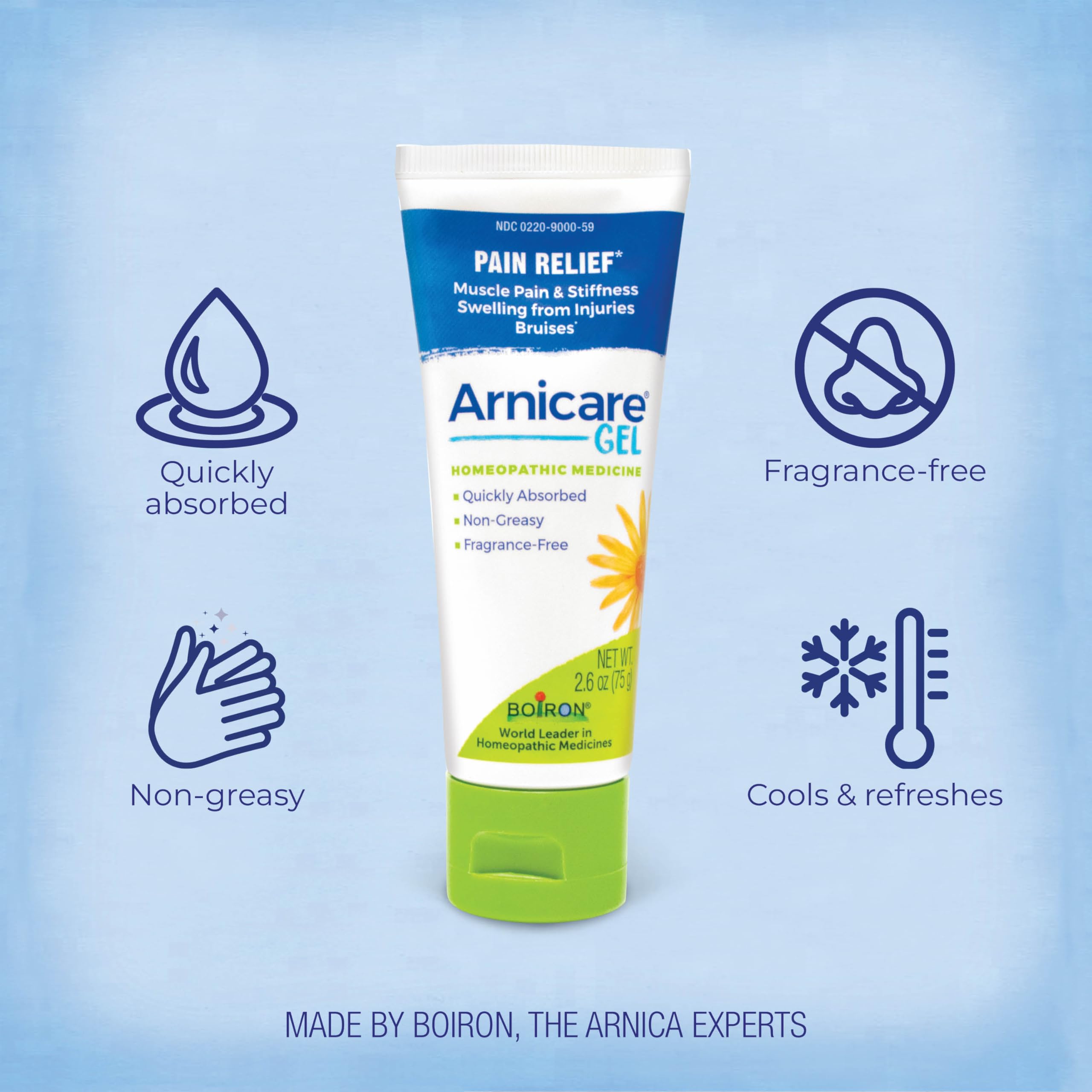 Boiron Arnicare Gel for Joint Pain, Muscle Pain, Swelling, Soreness, and Stiffness - Non-greasy and Fragrance-Free - 2.6 oz Boiron buy supplements canada