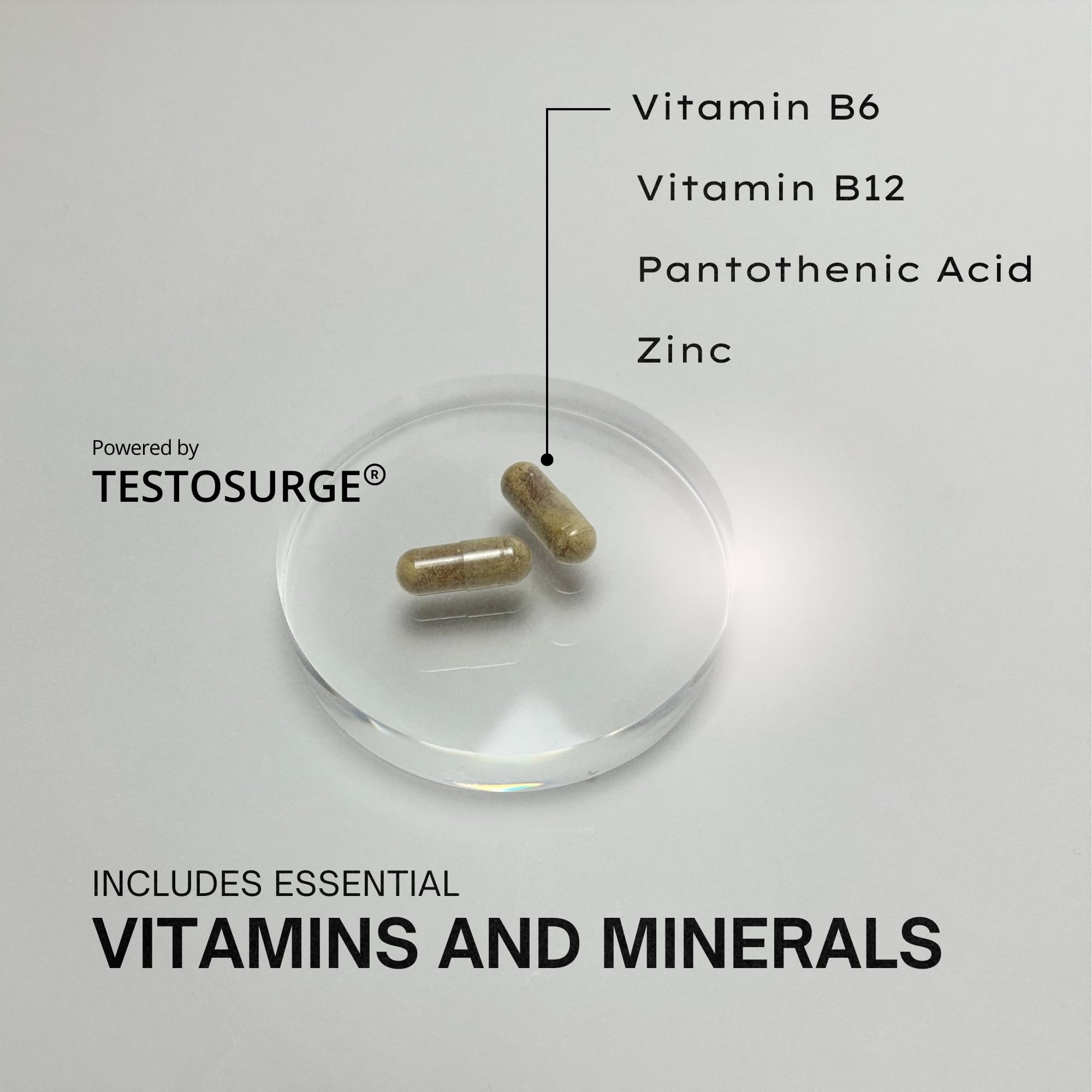 EPIC-T Testosterone Support Supplement for Men | Plant-Based Formula with Testosurge, B-Complex, B12, Zinc & Boron | Vegan, Non-GMO Daily Support EPIC buy supplements canada