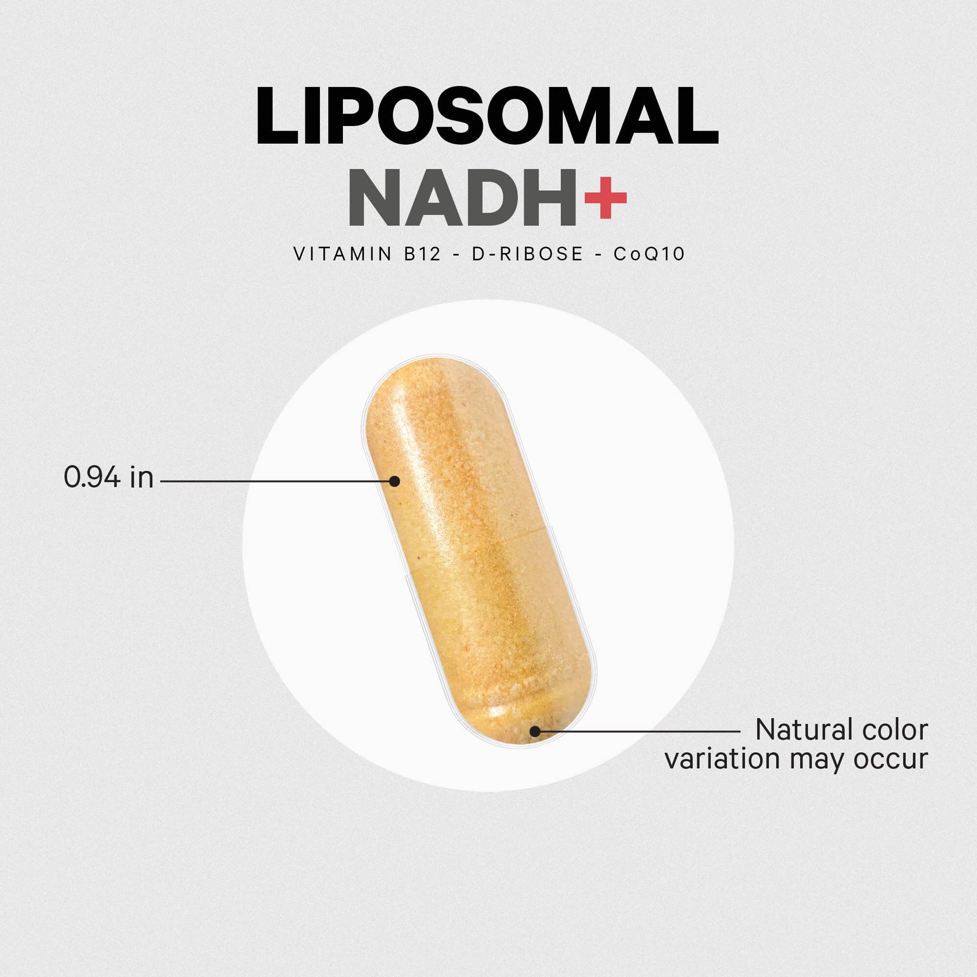 Codeage Liposomal NADH+ Supplement - NADH, Vitamin B12, D-Ribose as Bioenergy Ribose, CoQ10-2-Month Supply - Liposomal Delivery - β-Nicotinamide Adenine Dinucleotide Pills - Non-GMO - 60 Capsules Codeage buy supplements canada