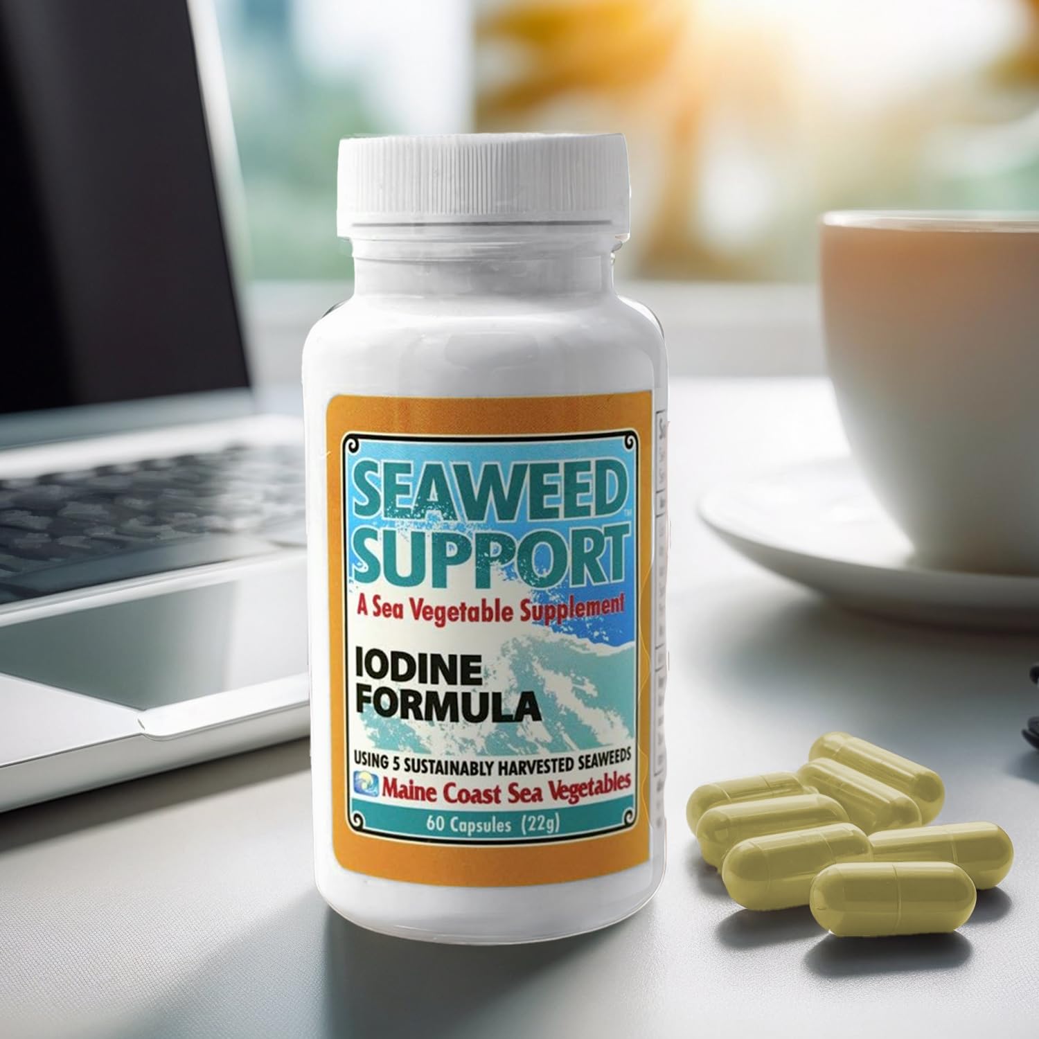 Maine Coast Sea Vegetables Seaweed Support Iodine Formula | Source of Iodine from Seaweed | Daily Use Iodine Supplement | Organic Alaria, Rockweed, Sea Lettuce, Dulse & Bladderwrack blend | 60 Capsule Maine Coast Sea Vegetables buy supplements canada